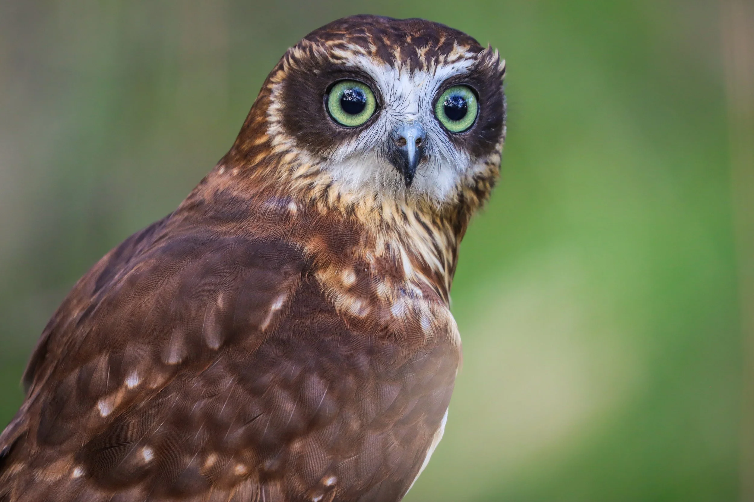 Myponga Guided Nature Walk