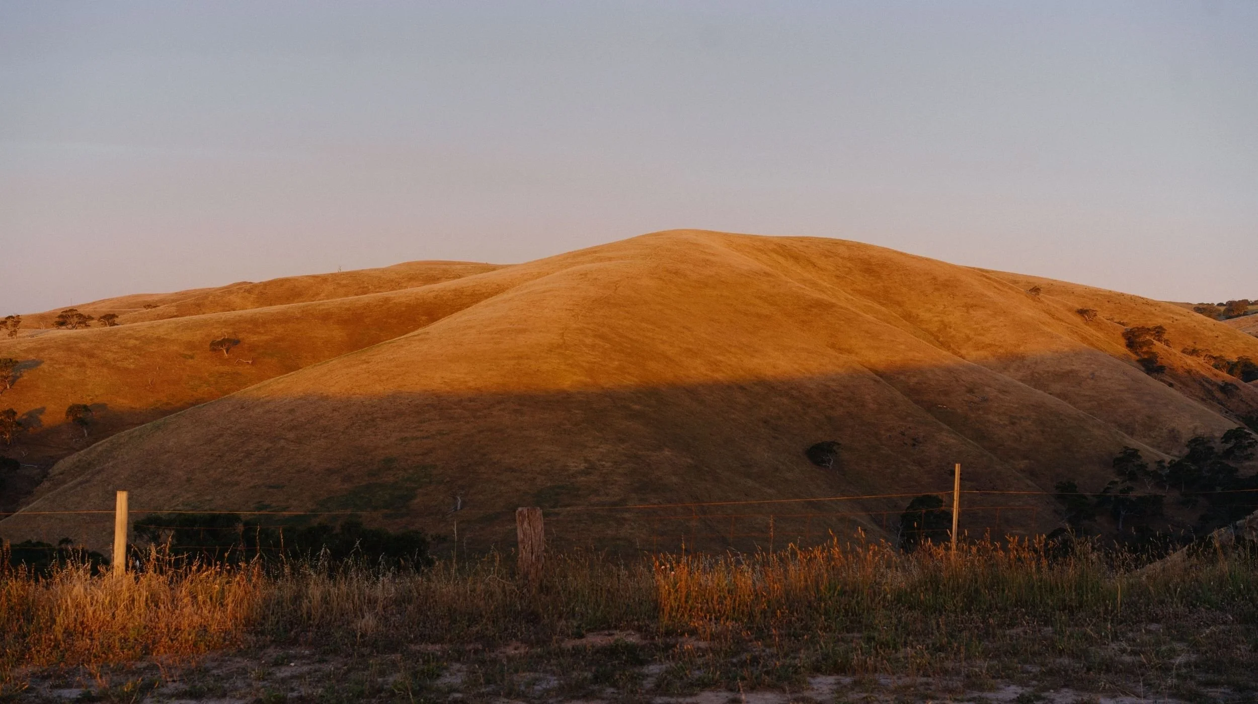 a sunlit hill