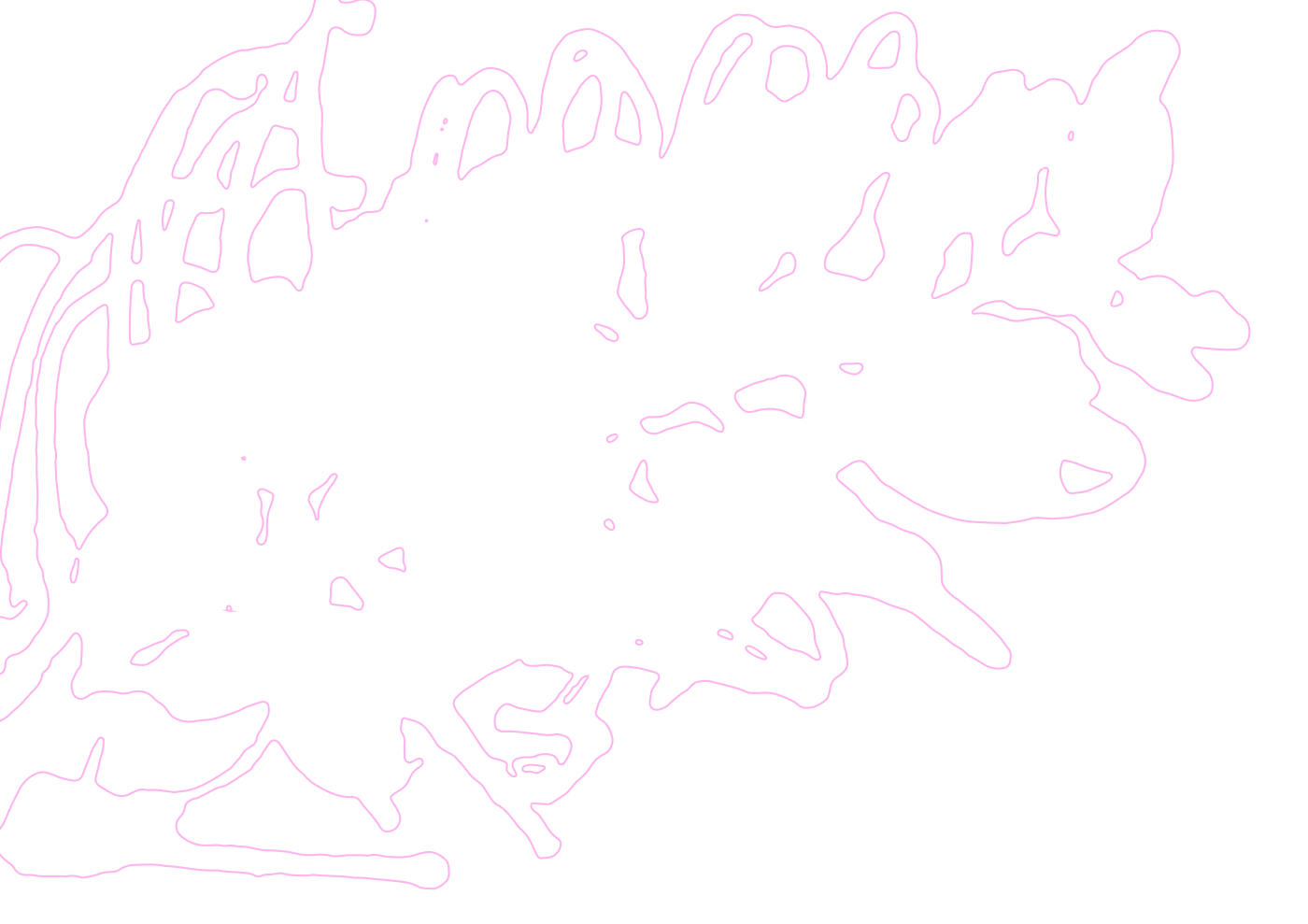 Outline of a leaf in pink on a black background.