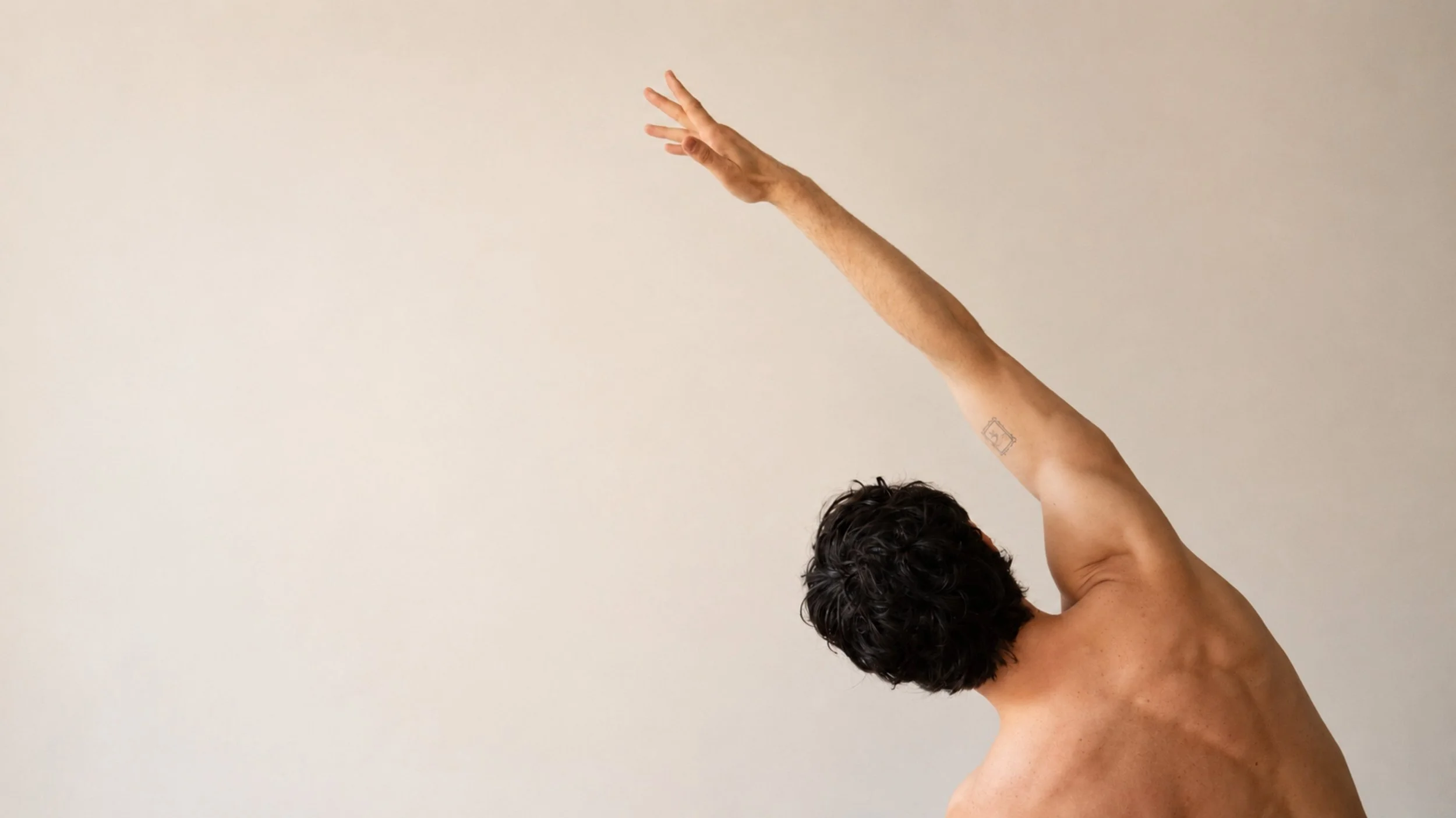 a mans back as he reaches overhead