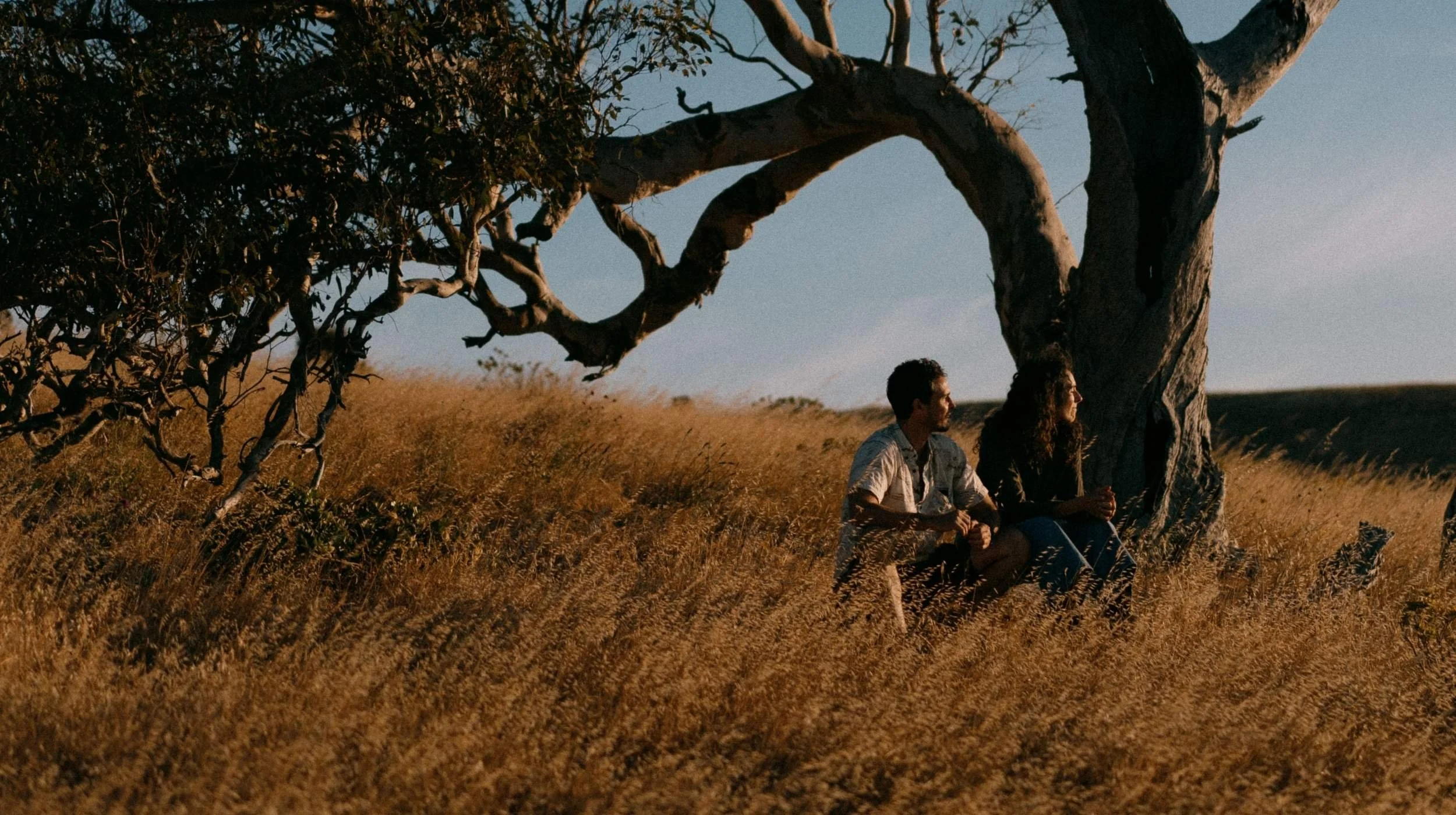 two people sit in a field under a tree
