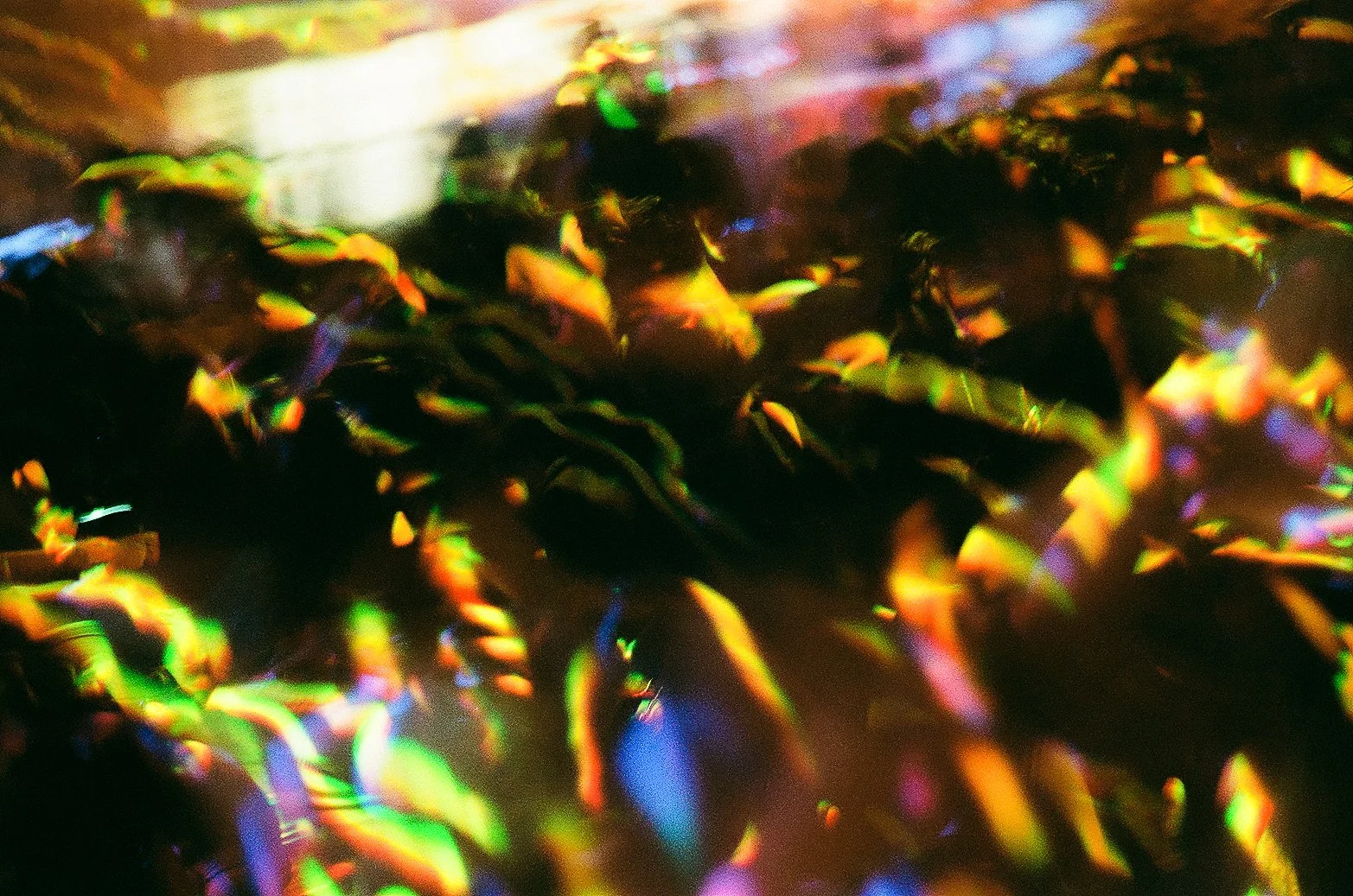 Motion.jpg