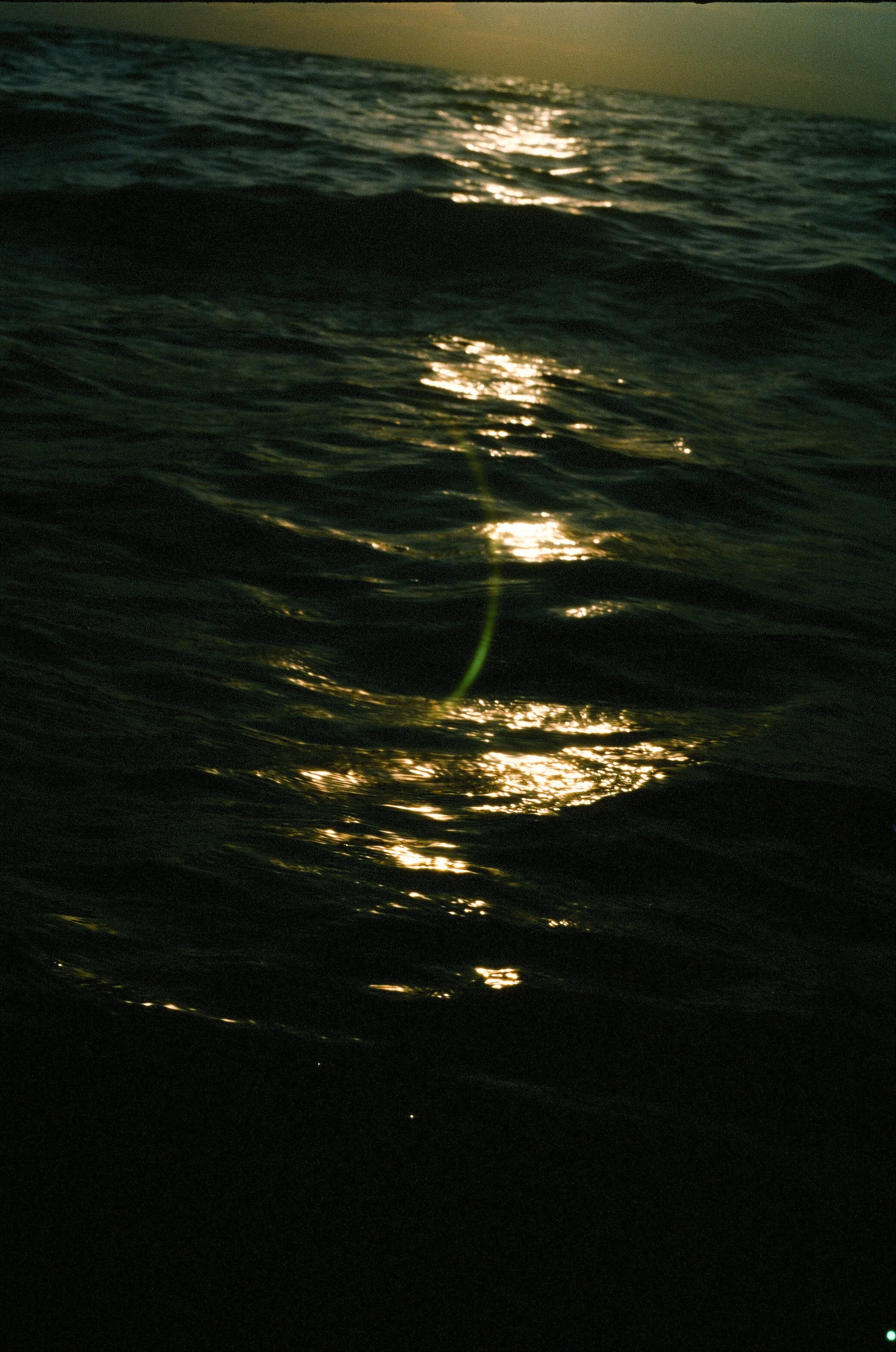 sea glare.jpg