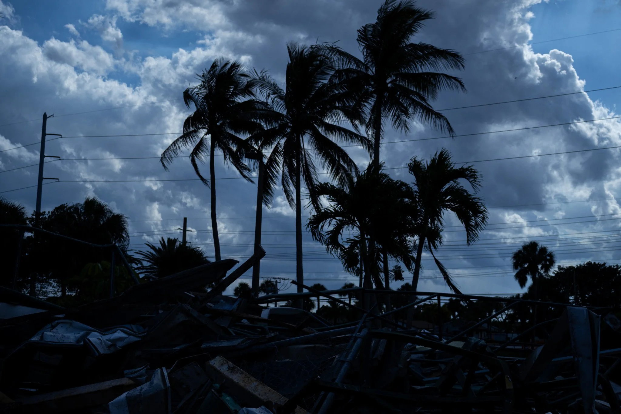 5-The Palms.jpg