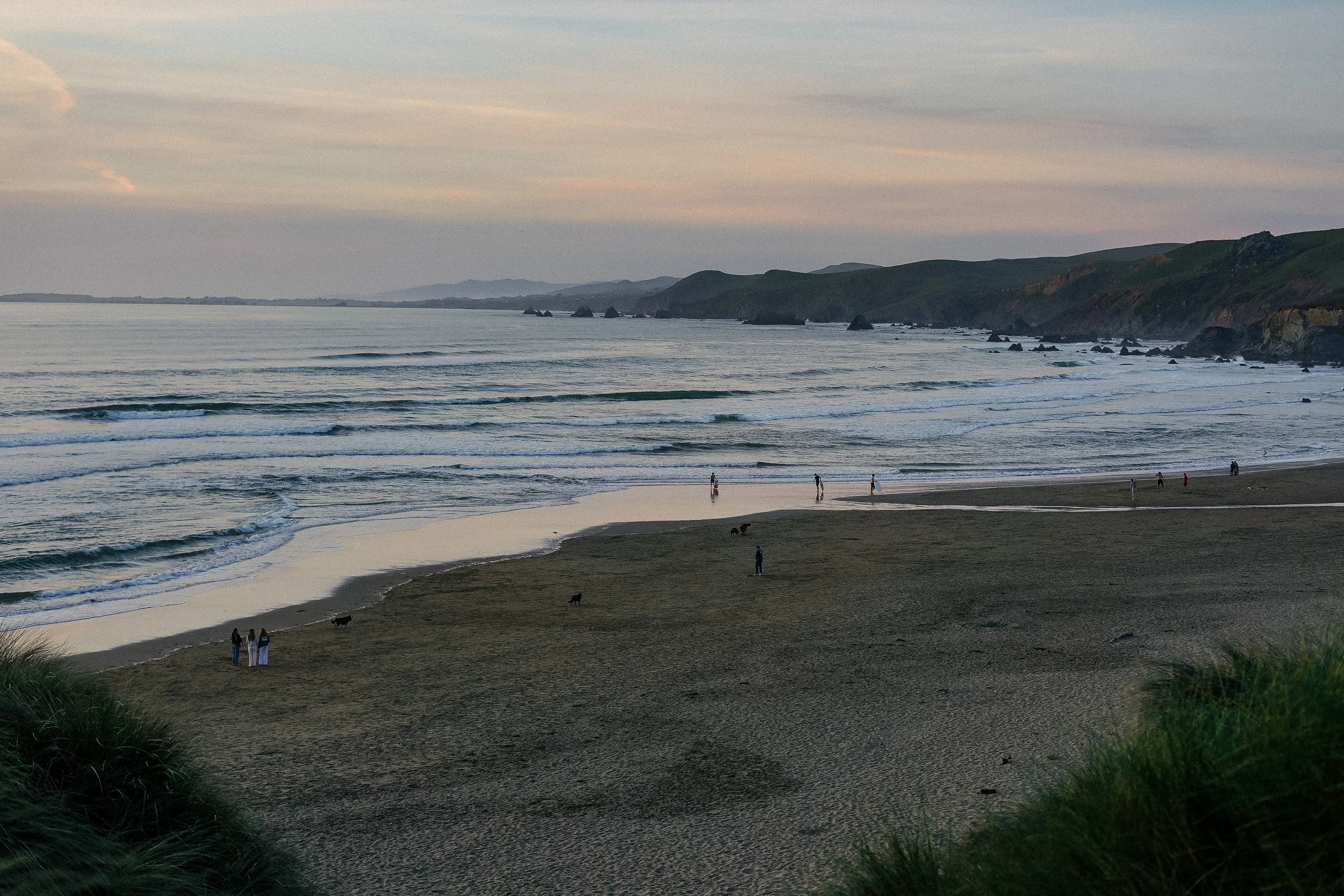 A scenic view of a beach at sunset with waves crashing along the shore and green hills in the background. People and dogs are walking along the sand, with a couple standing together in the foreground.