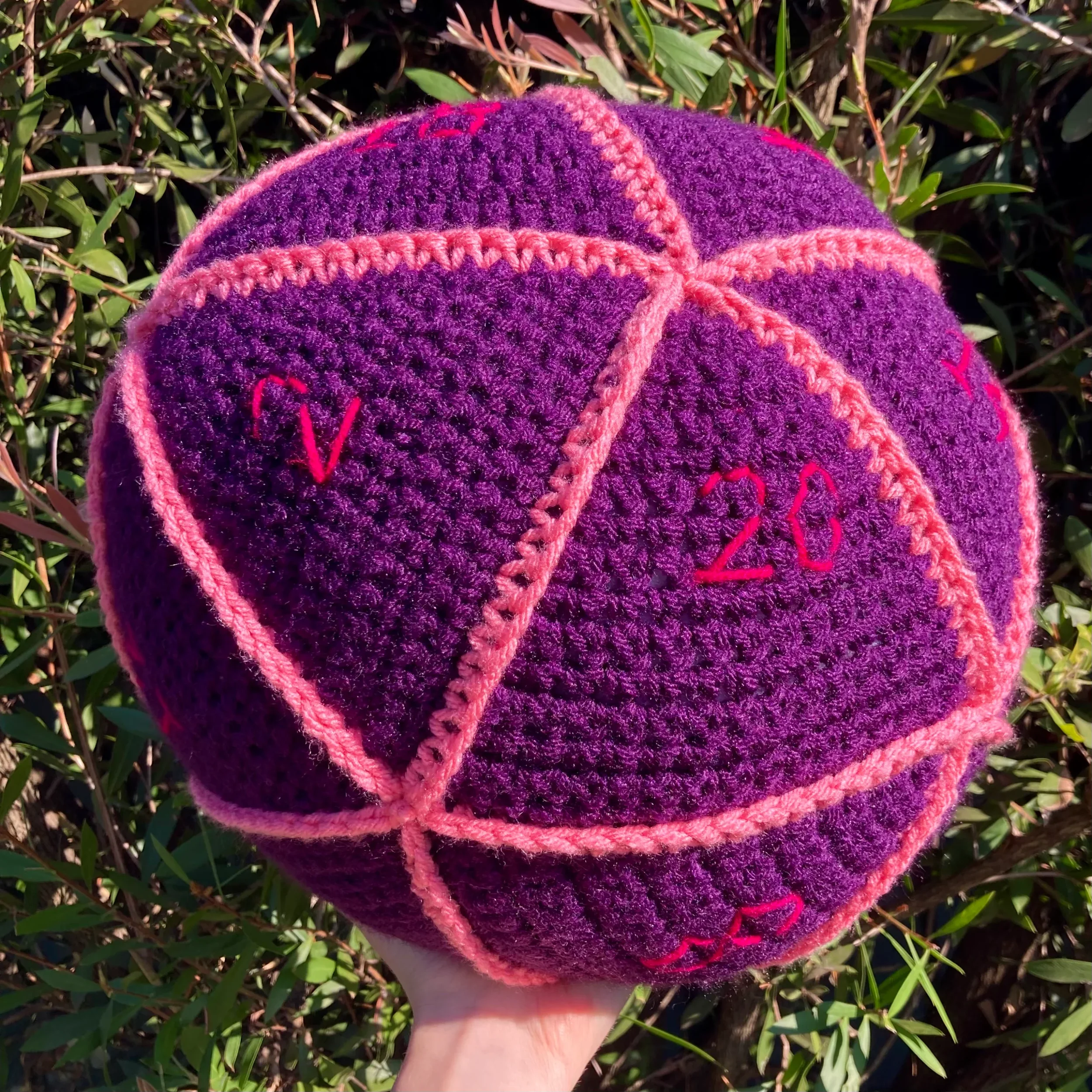 DW-Web-d20Cushion.webp