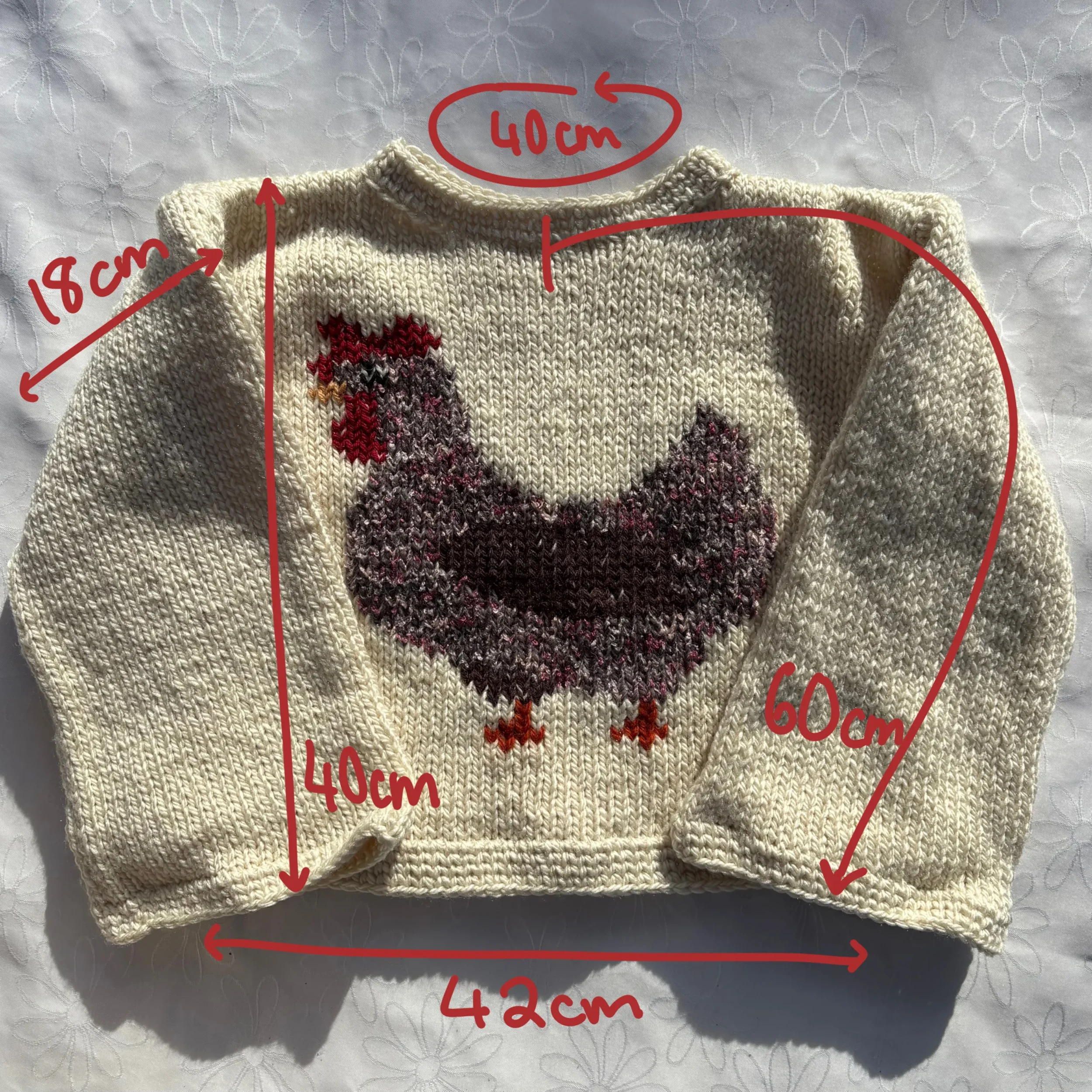 DW-Web-ChickenSweater-Measurements.webp