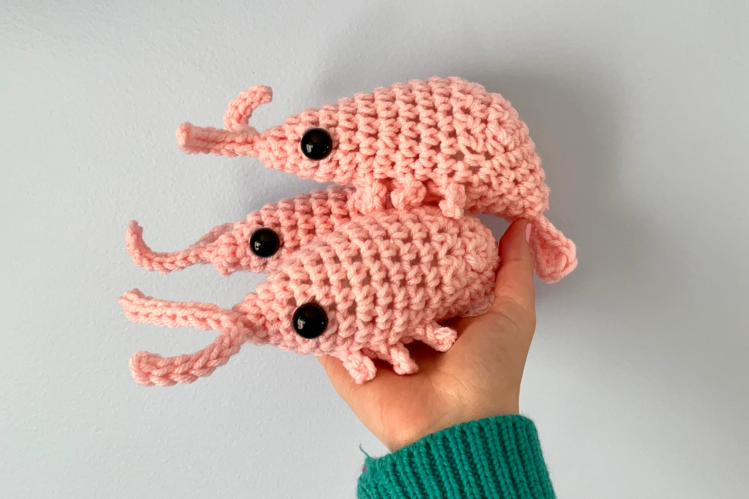 DW-Web-BigCrochetShrimp-Three.webp