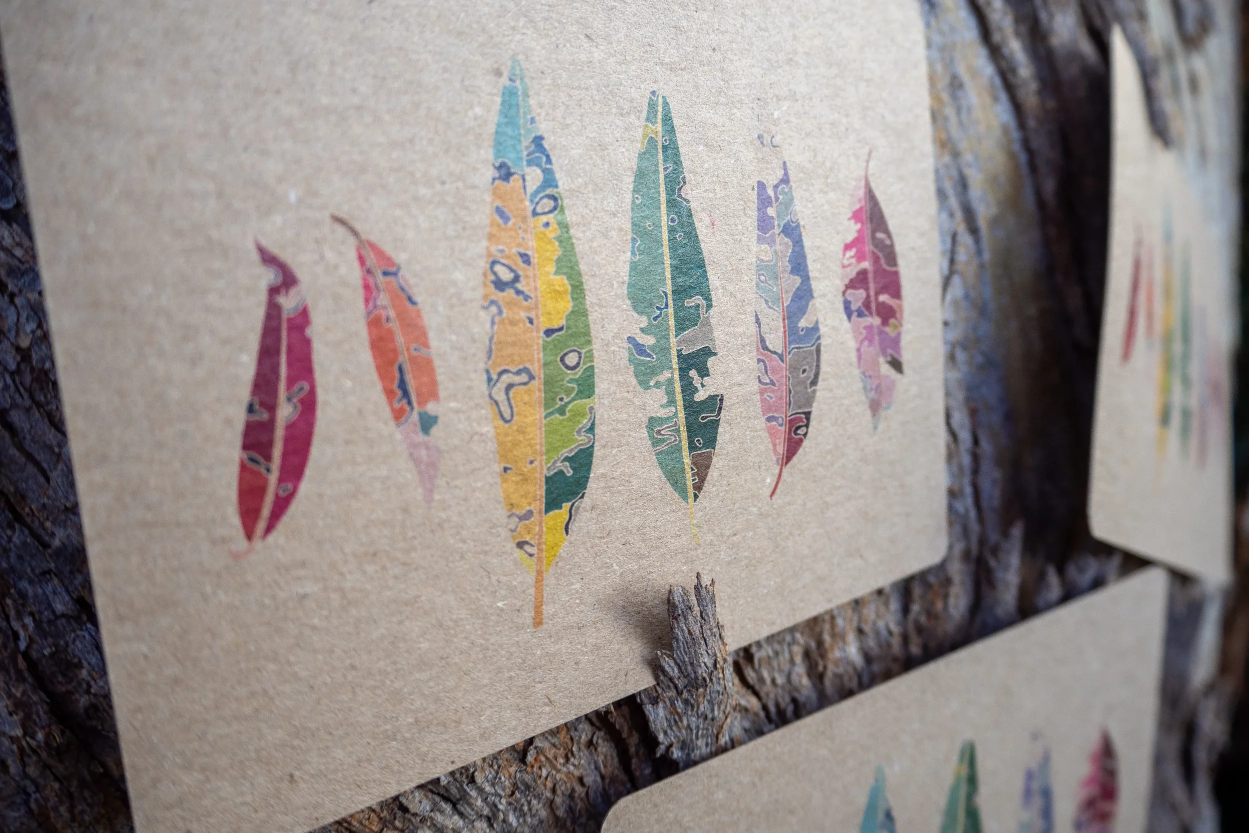 Postcard depicting six eucalyptus leaves