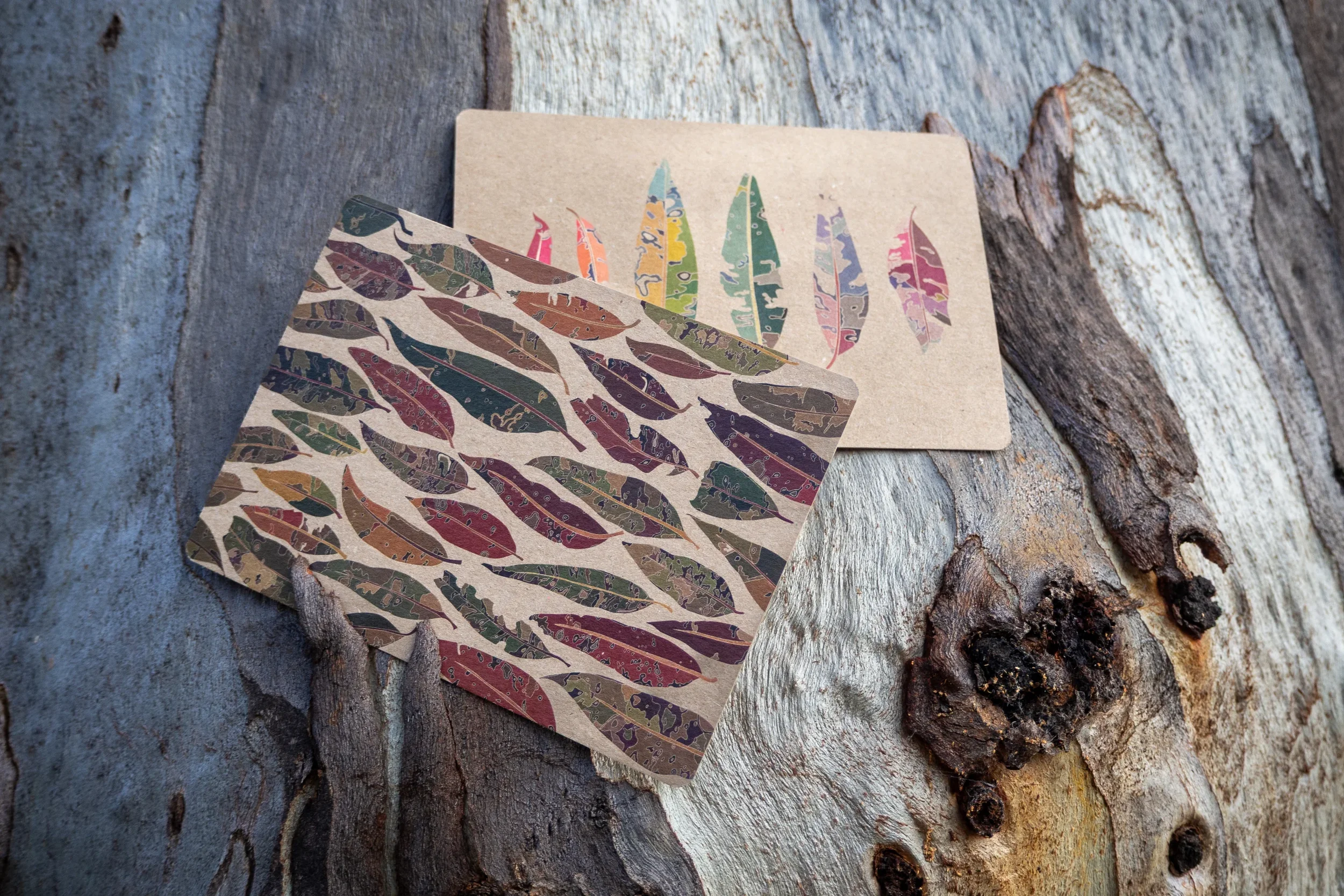 Eucalyptus Postcards