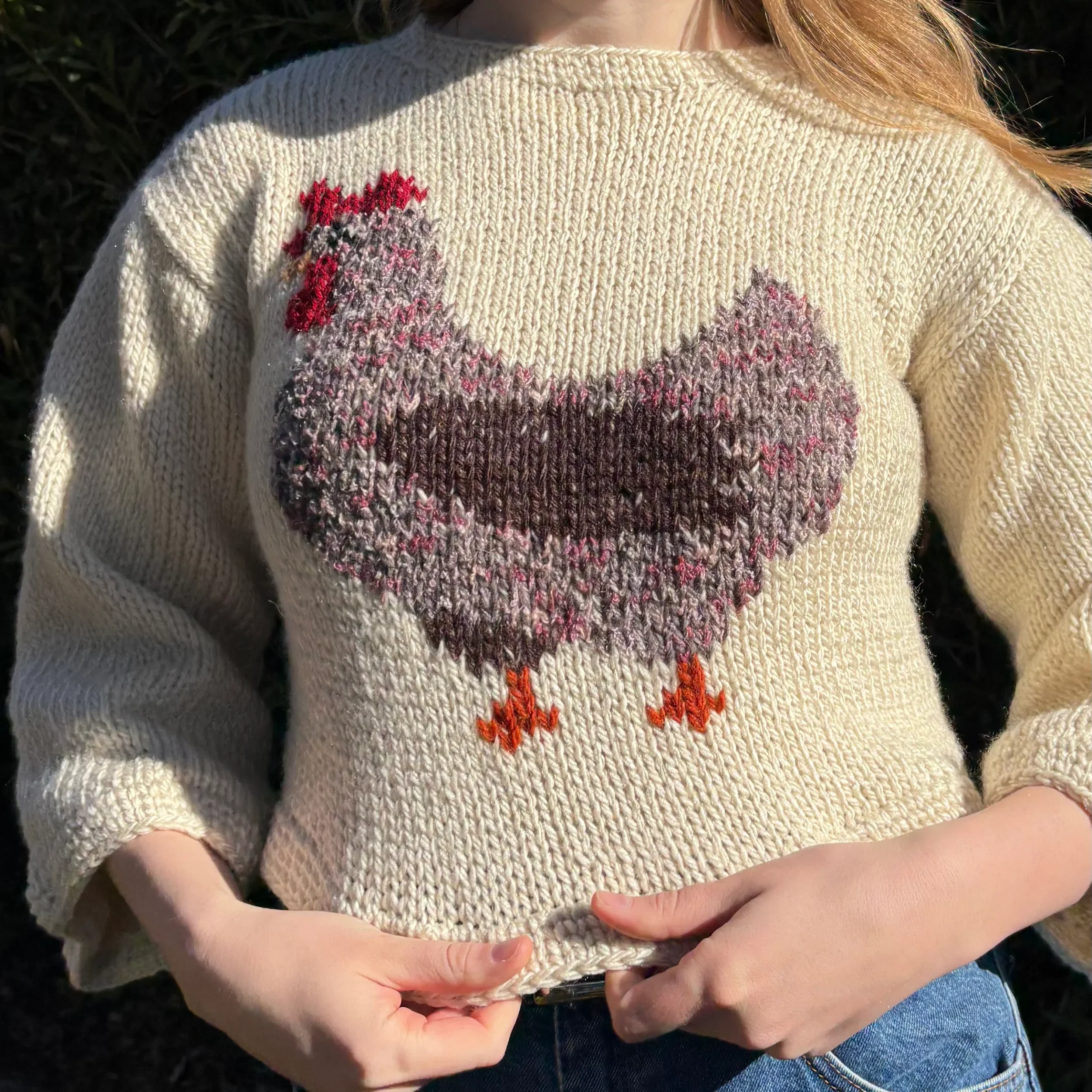 DW-Web-ChickenSweater-Front.webp