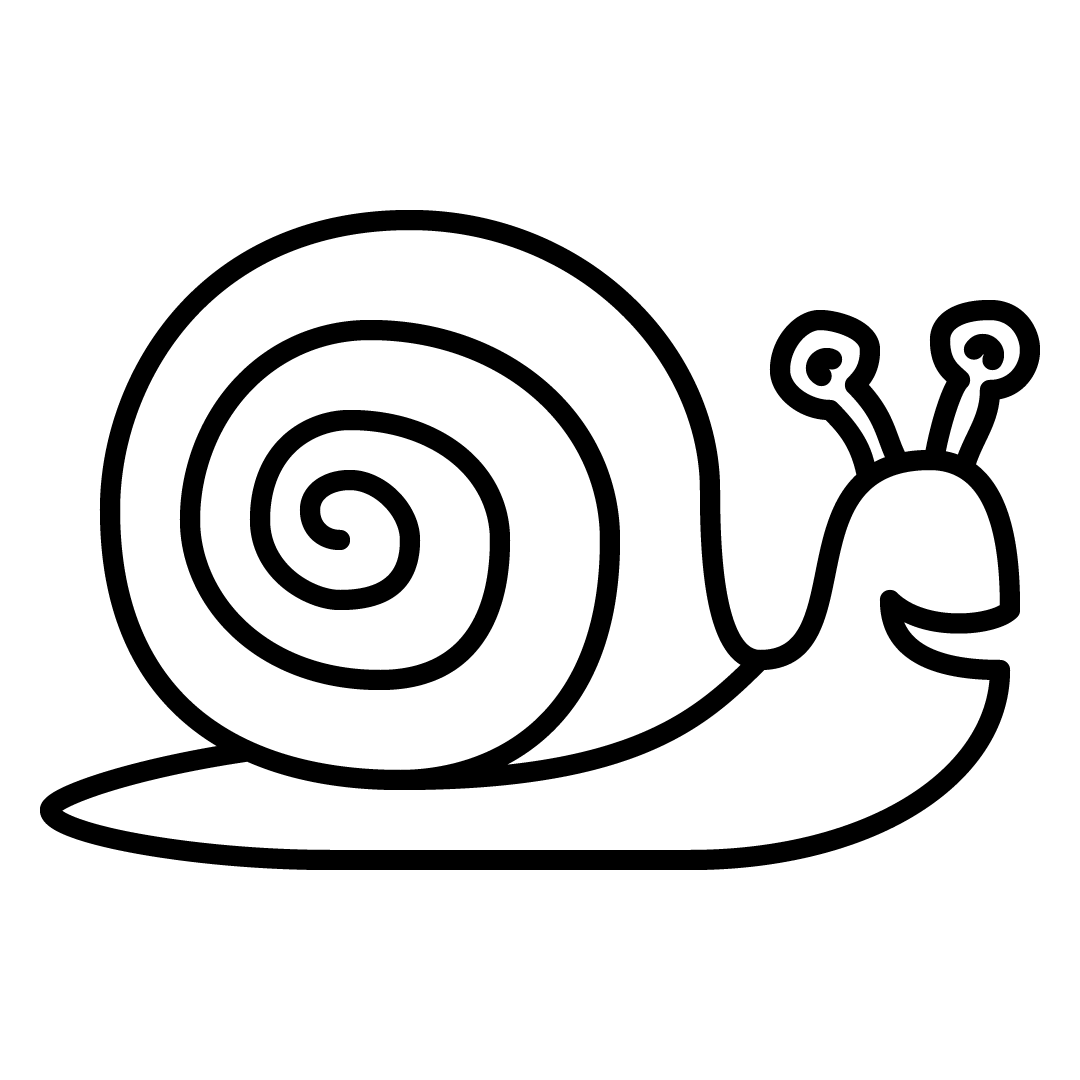 Happy black-and-white snail