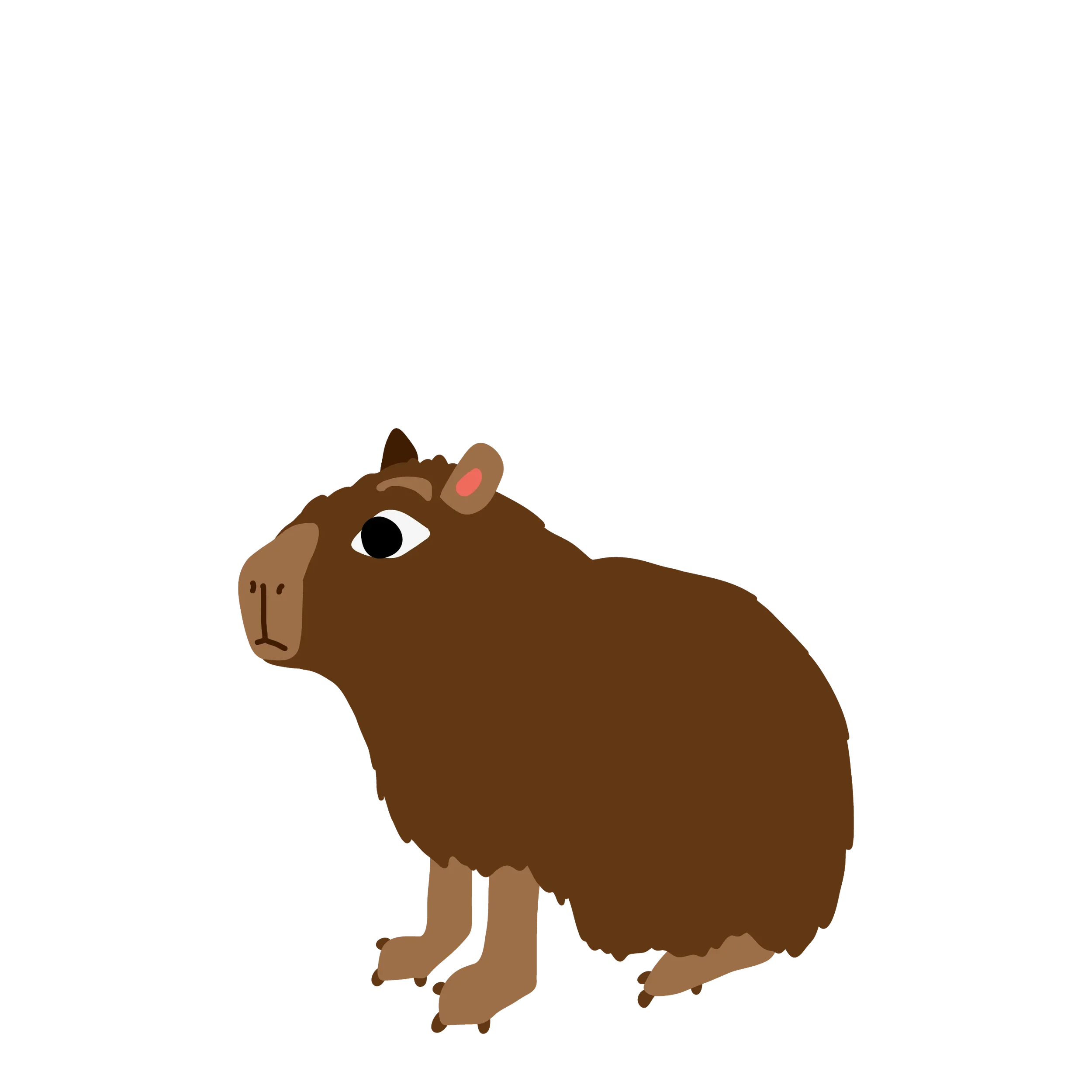 Capybara looks to the left