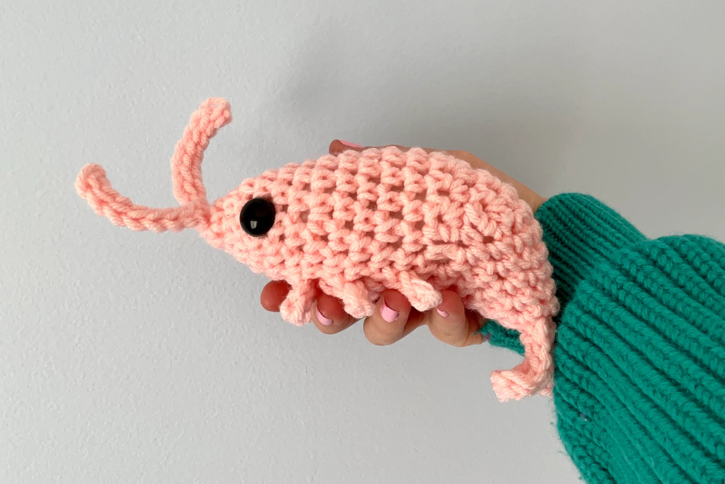 DW-Web-BigCrochetShrimp-One.webp