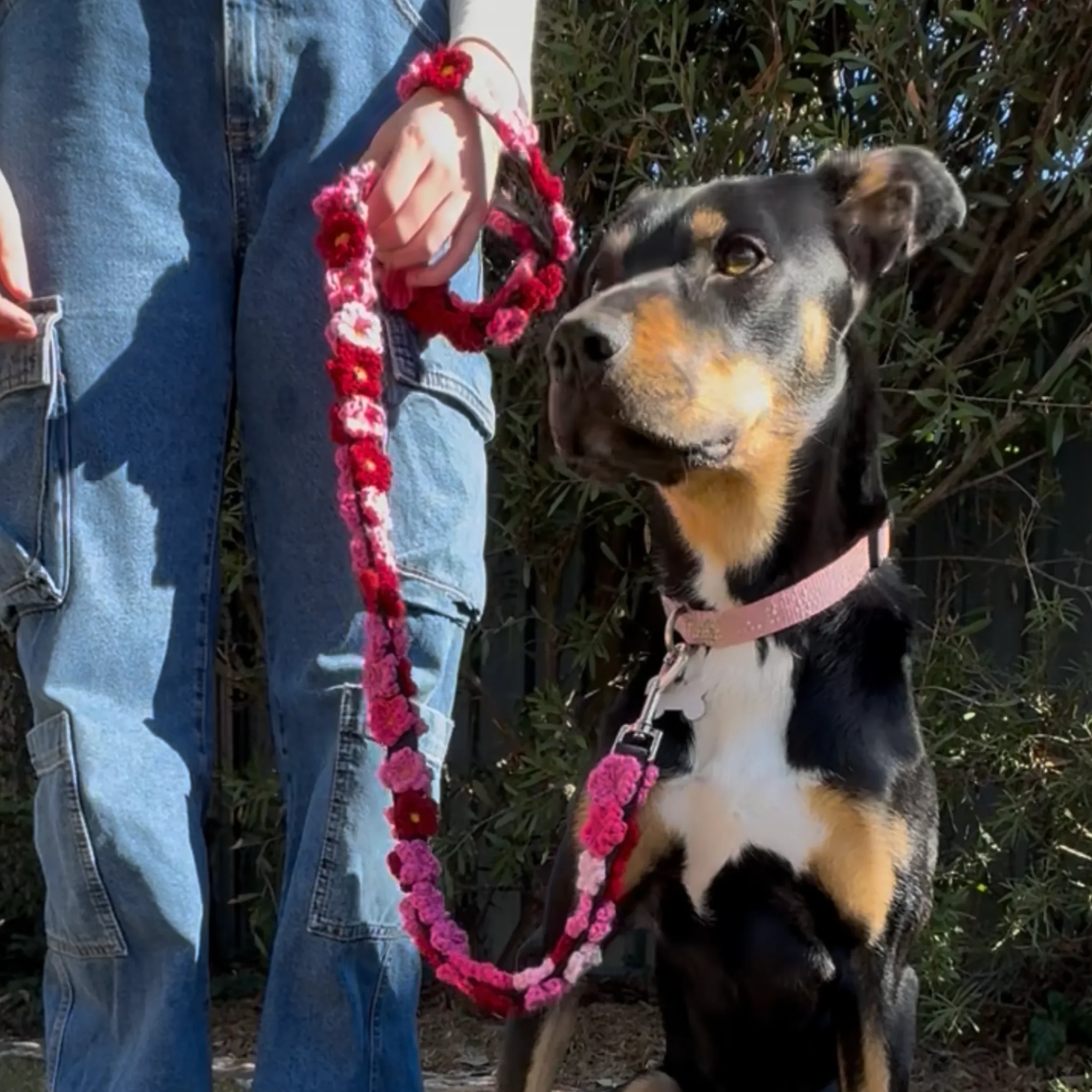 DW-Web-FlowerDogLeash-Pink.webp