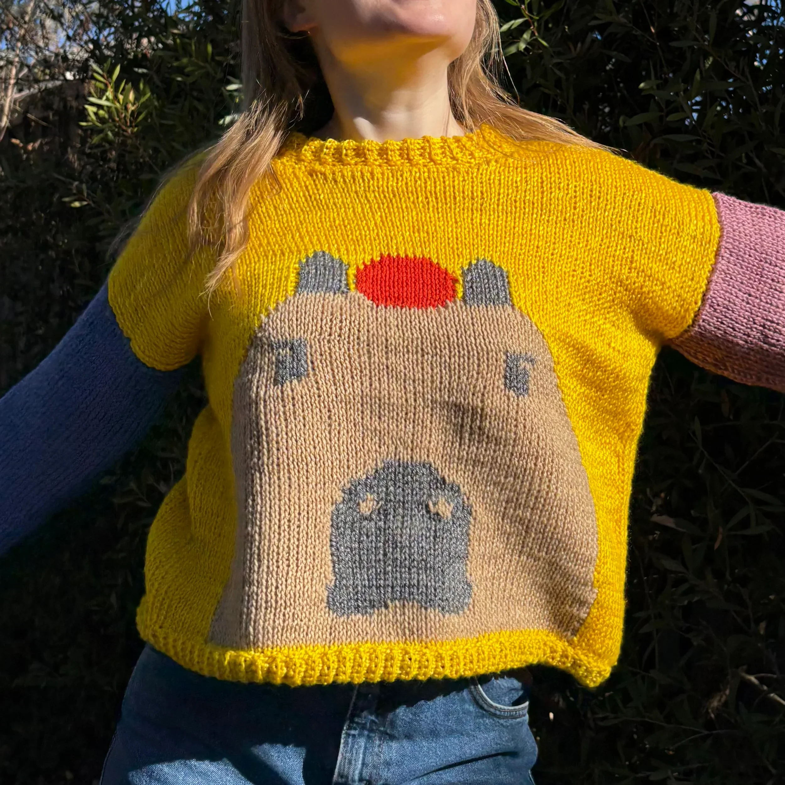 DW-Web-CapybaraJumper-Front.webp
