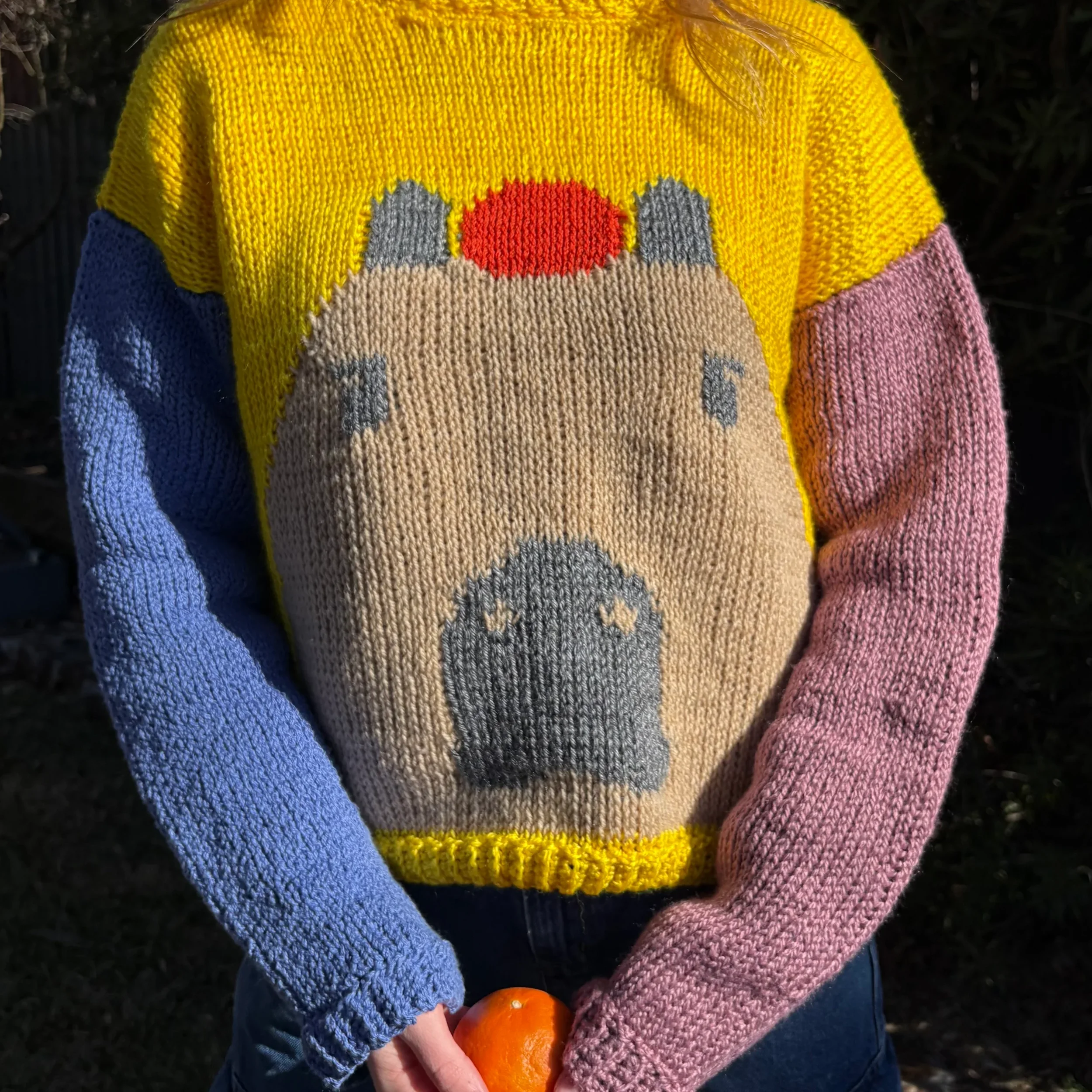 DW-Web-CapybaraJumper-Detail.webp