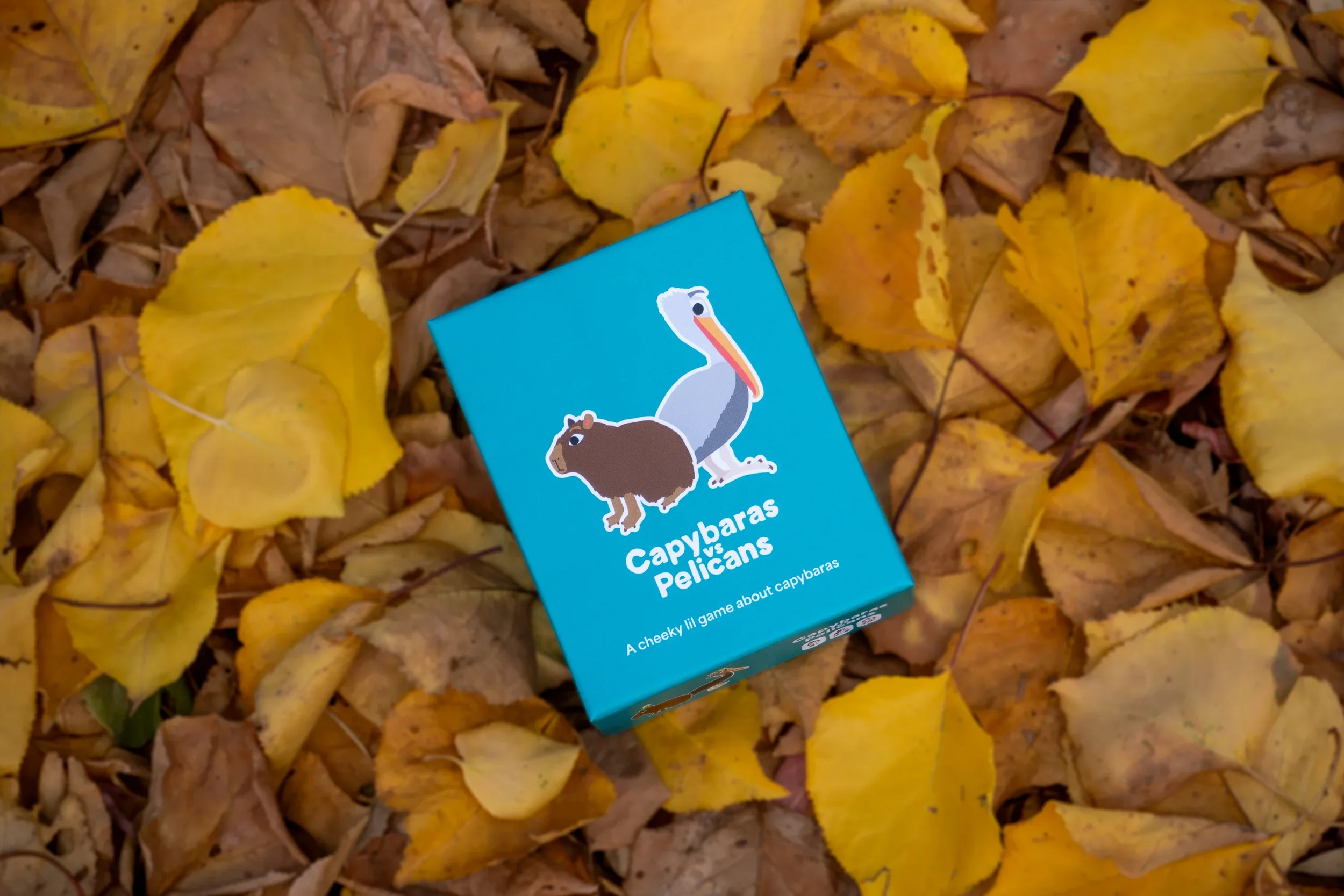 Capybaras vs Pelicans board game lying among yellow leaves