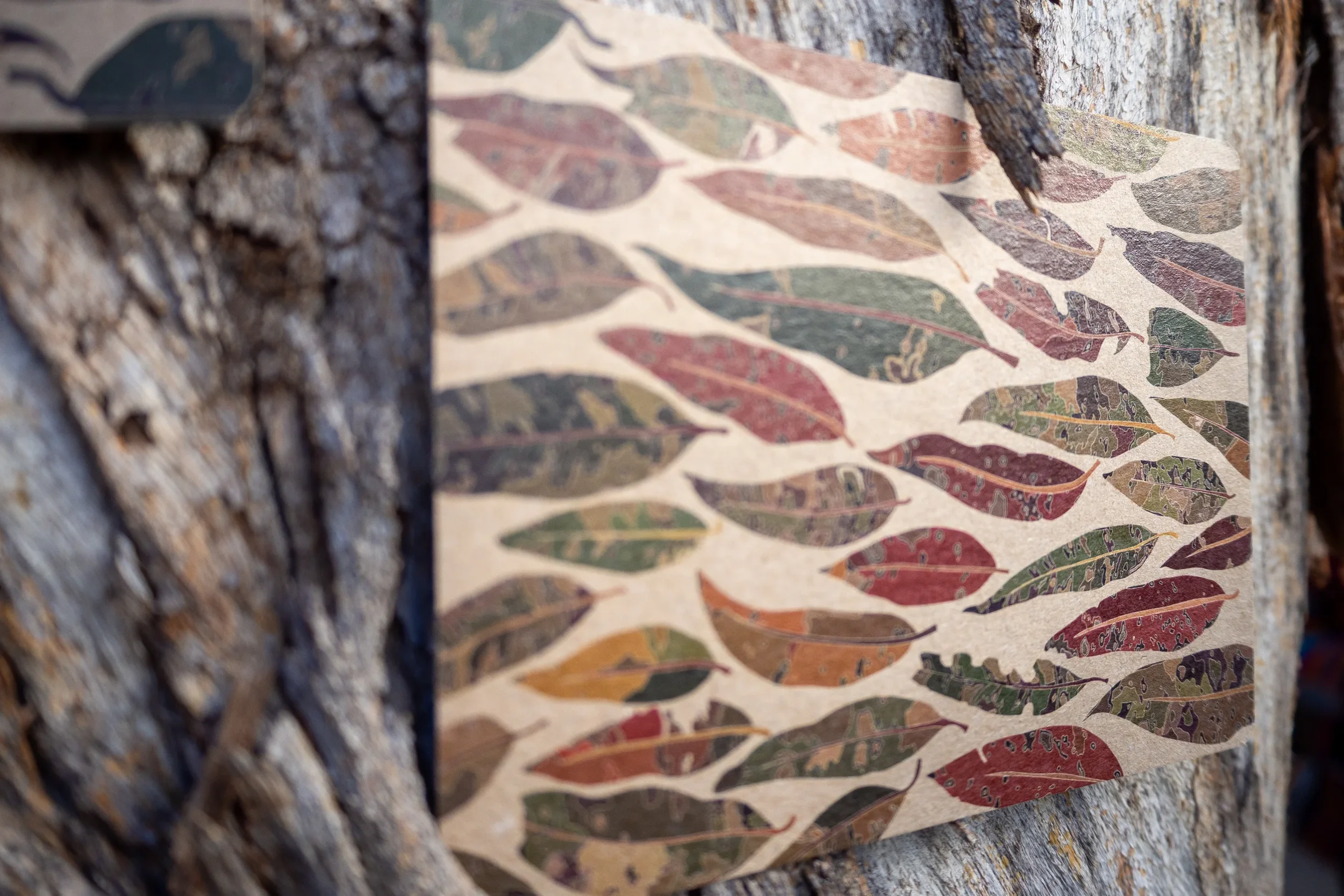 Postcard depicting many eucalyptus leaves