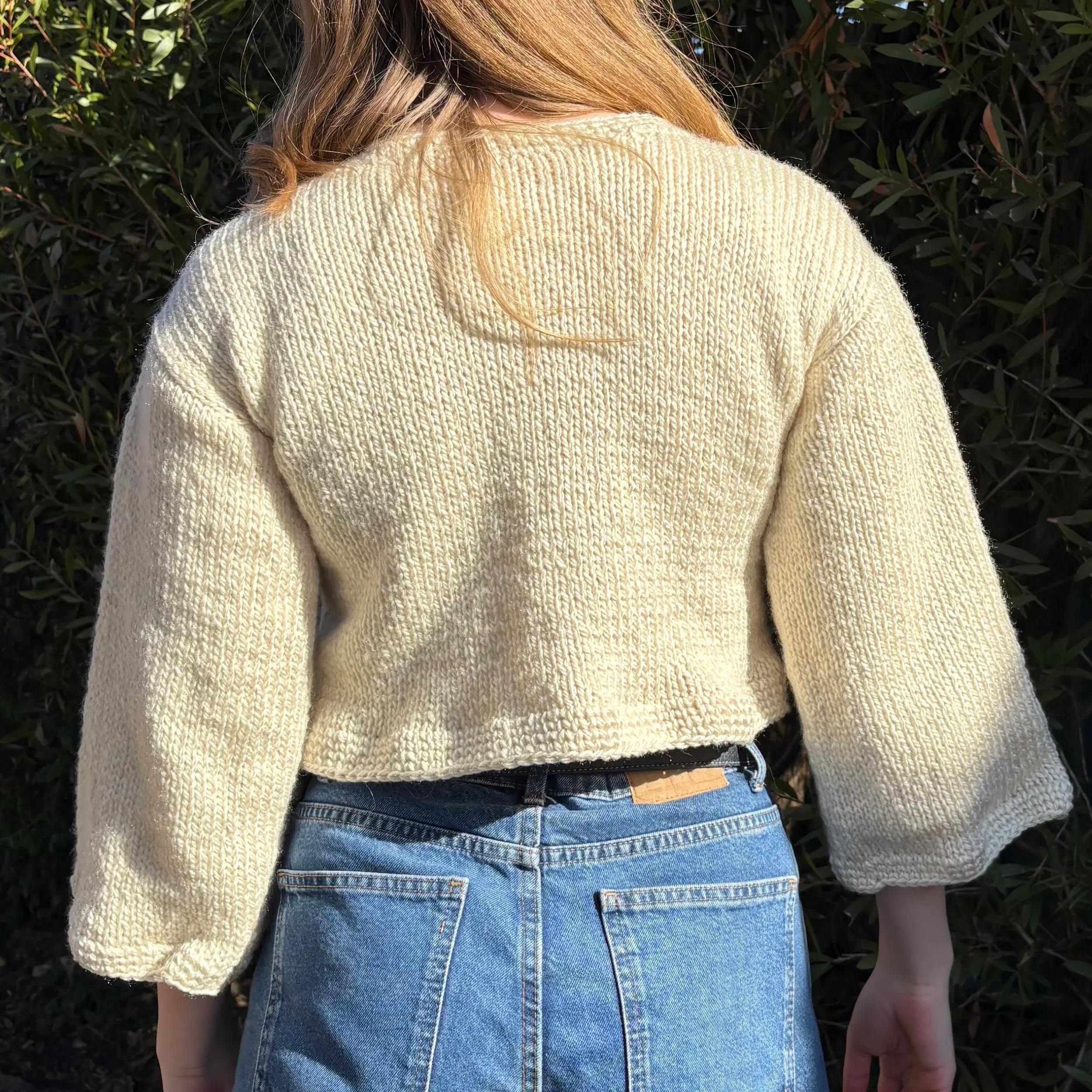 DW-Web-ChickenSweater-Back.webp