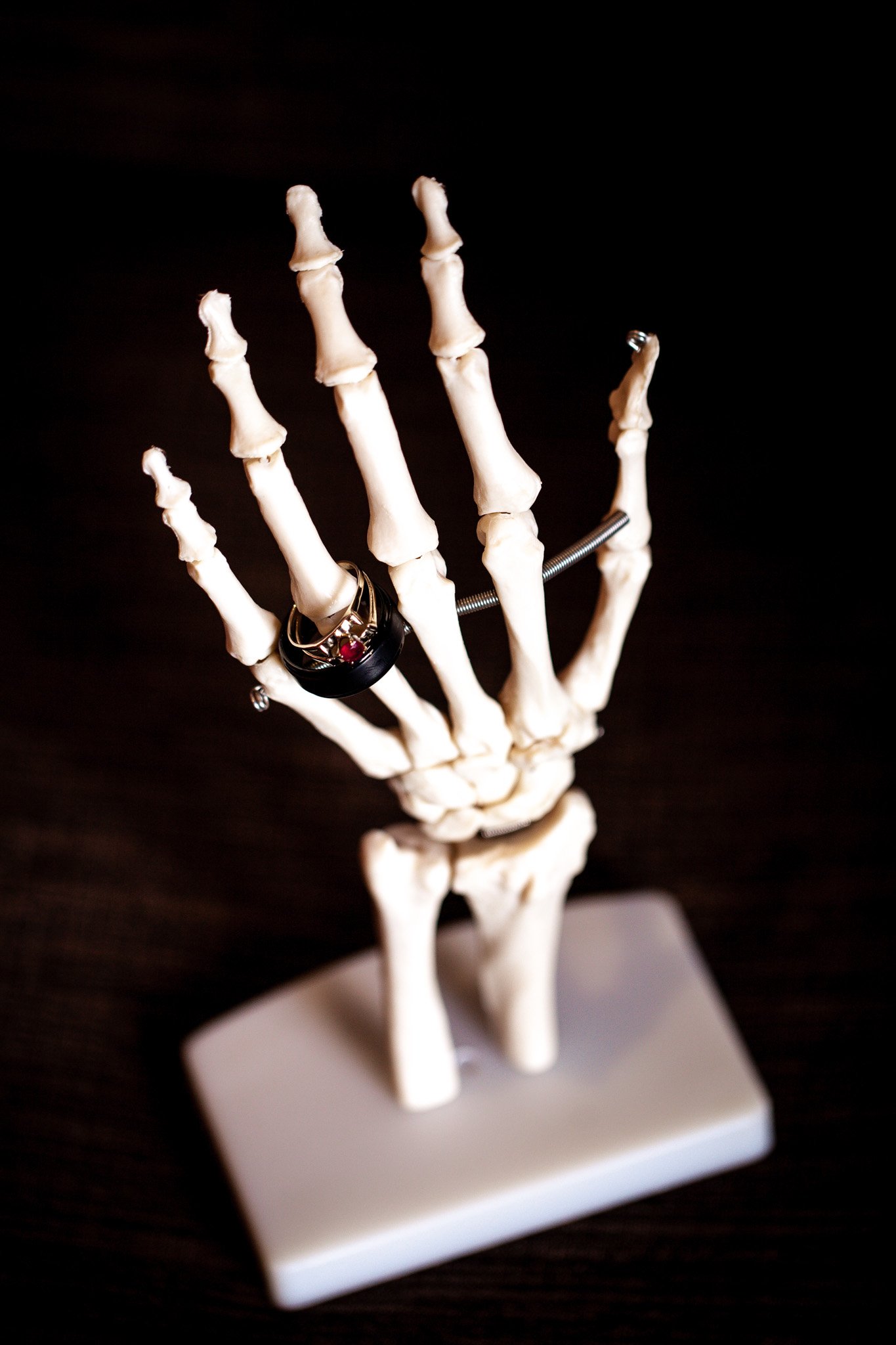 halloween-wedding-photography-christchurch-nz.jpg