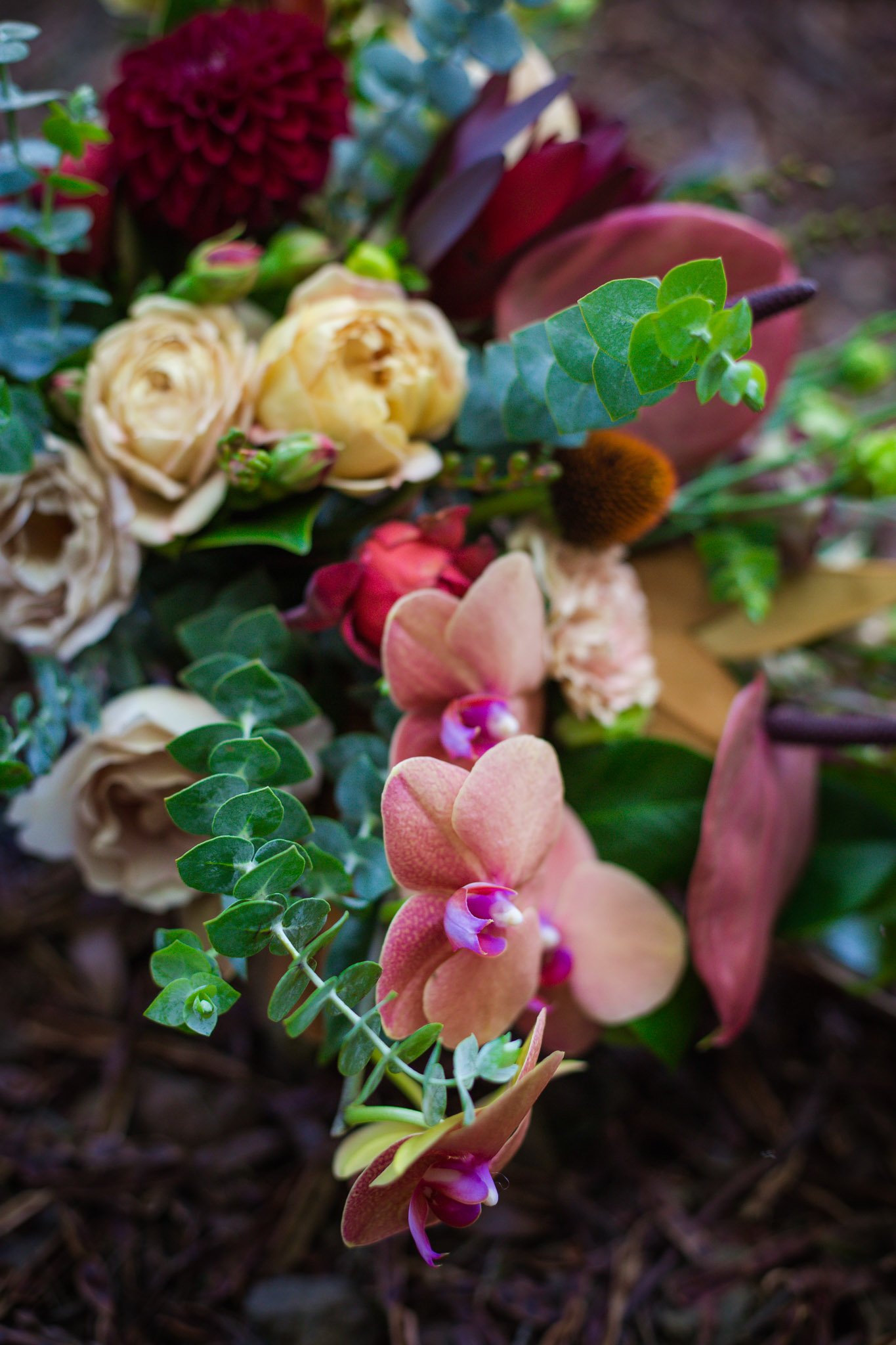 christchurch-wedding-photography-forest-ceremony-2.jpg