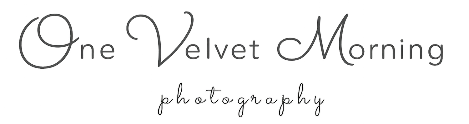 One Velvet Morning Photography