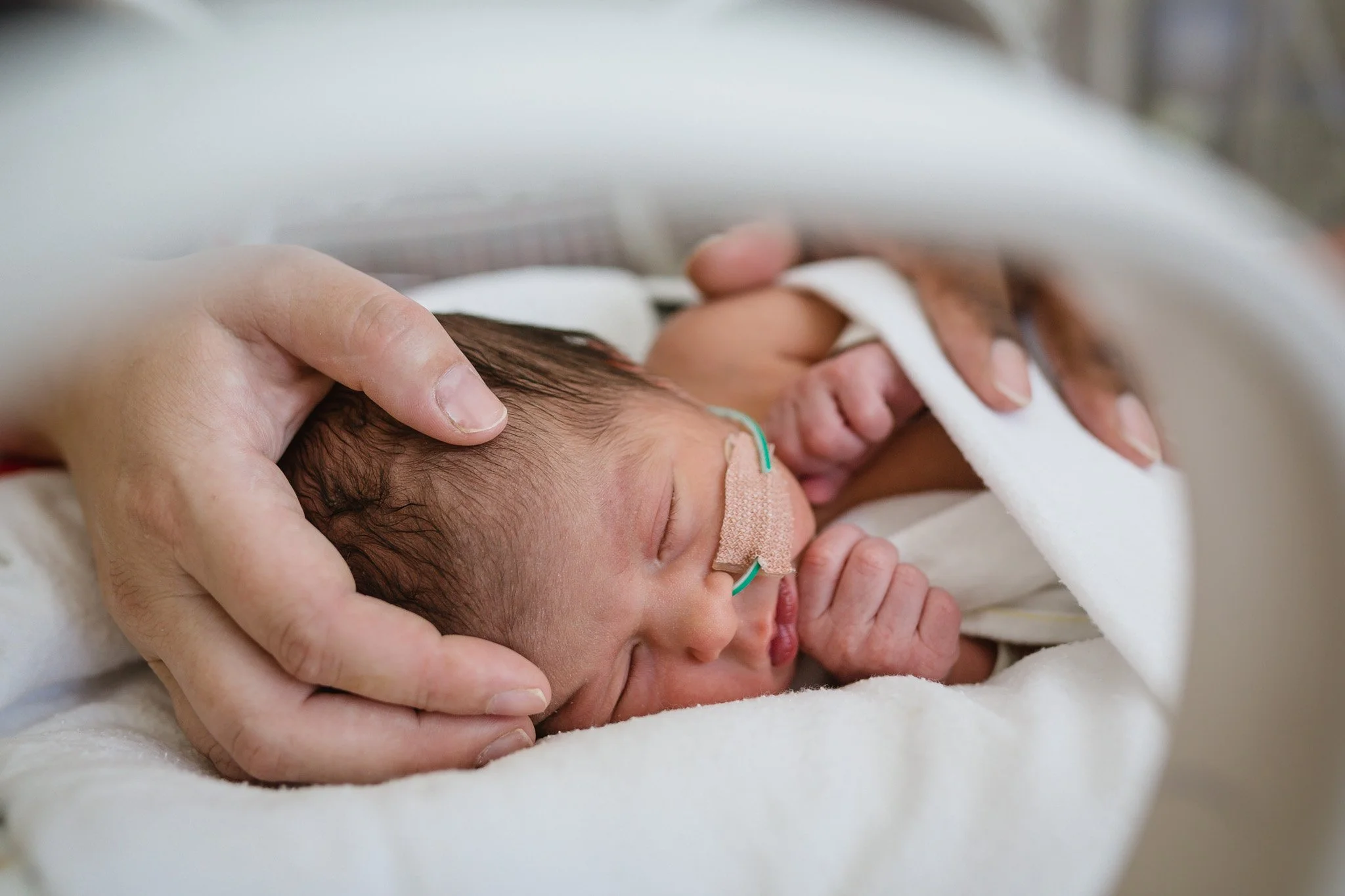 nicu-premature-newborn-photography-christchurch-nz-26.jpg