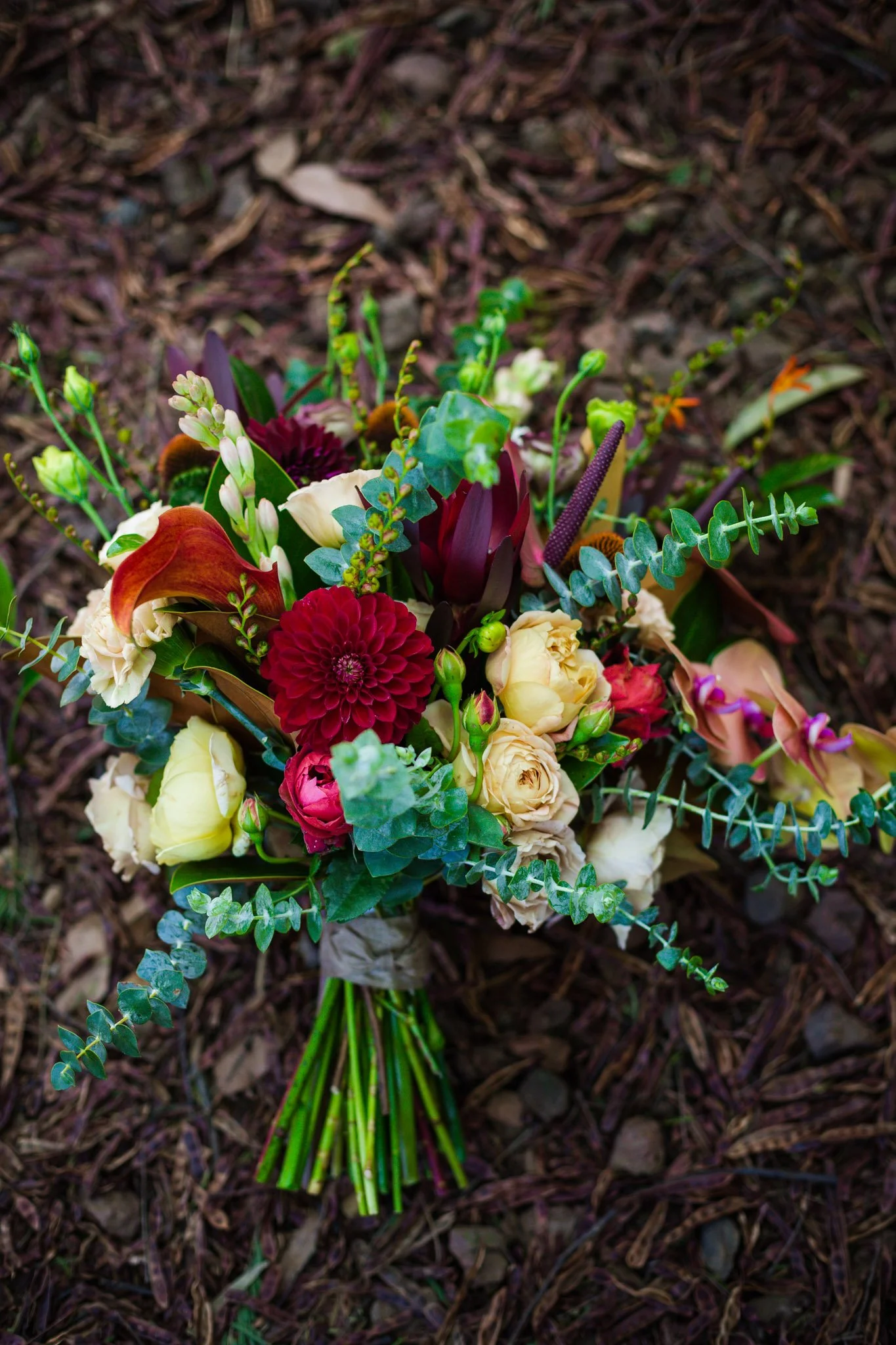 christchurch-wedding-photography-forest-ceremony-3.jpg