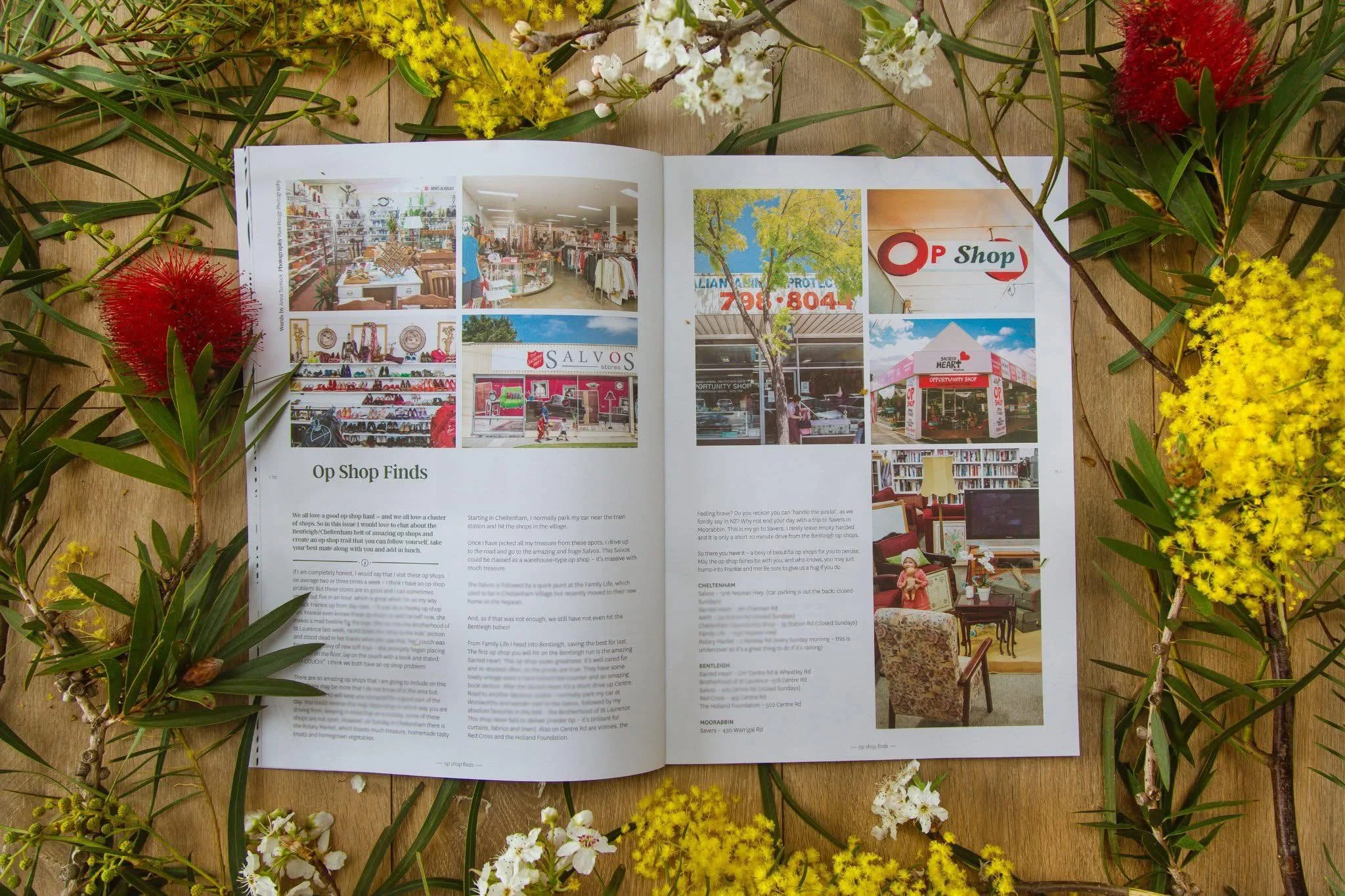 Junkies  Magazine
