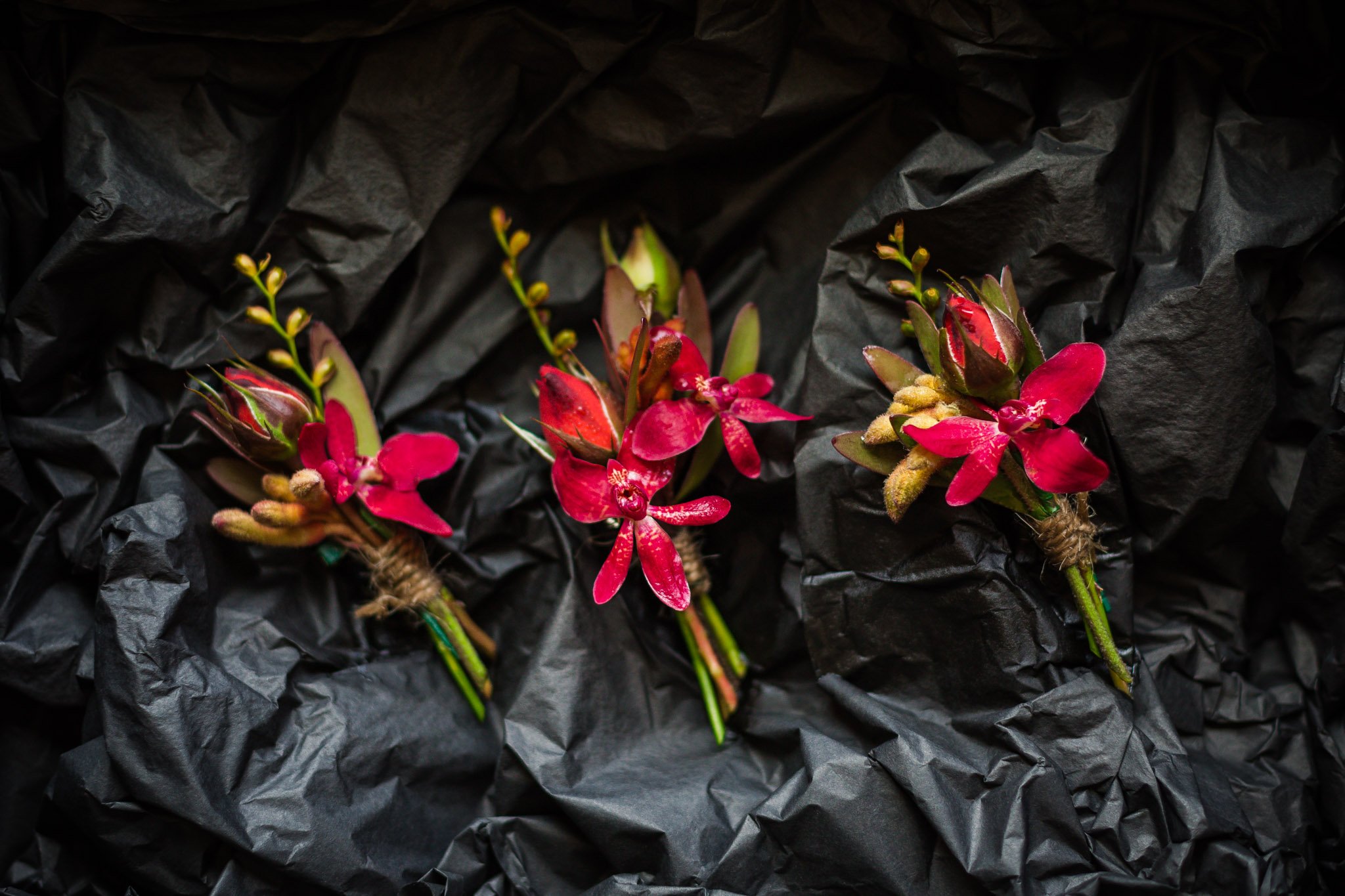 christchurch-wedding-photography-forest-ceremony-10.jpg