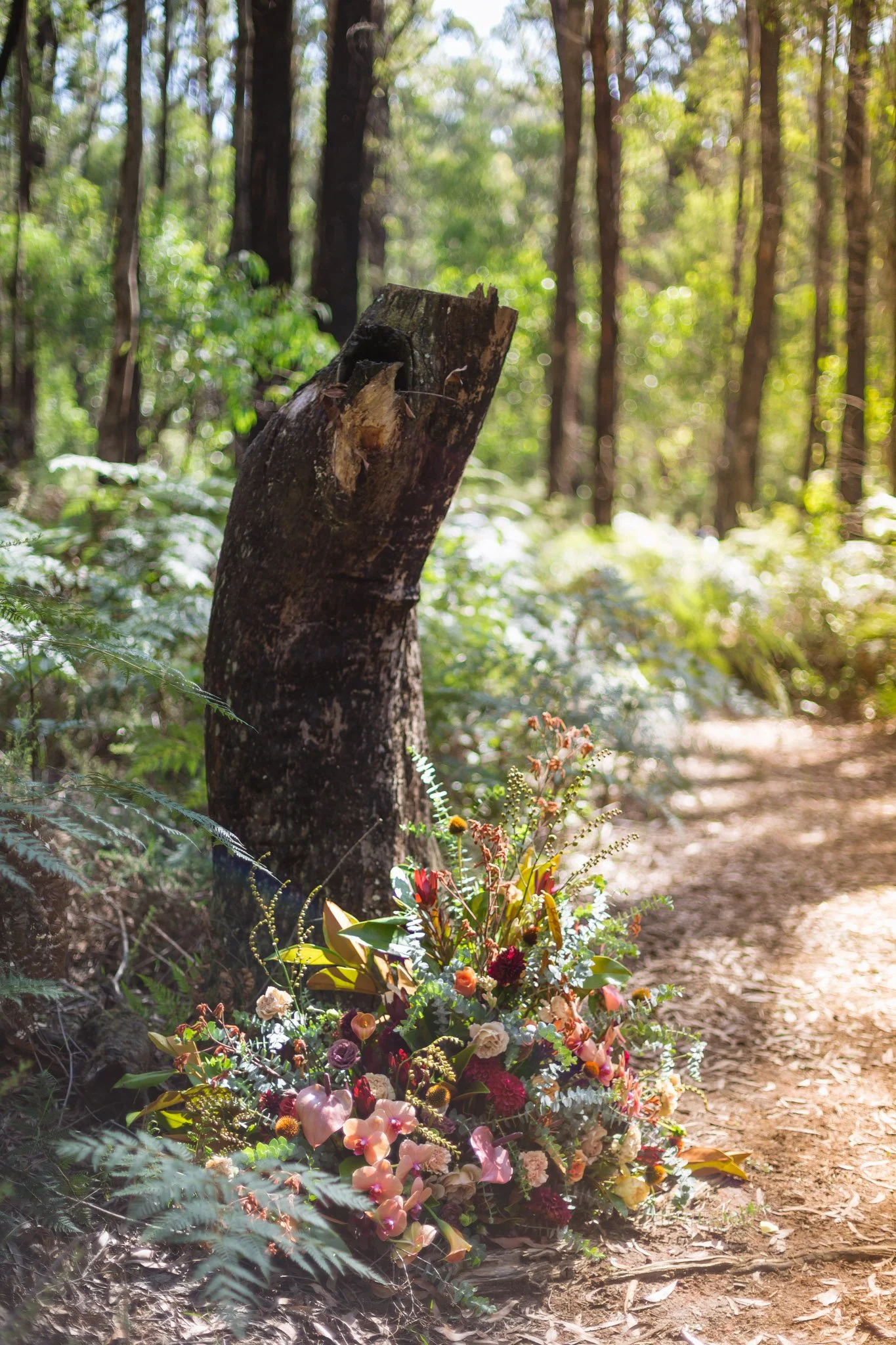 christchurch-wedding-photography-forest-ceremony-48.jpg