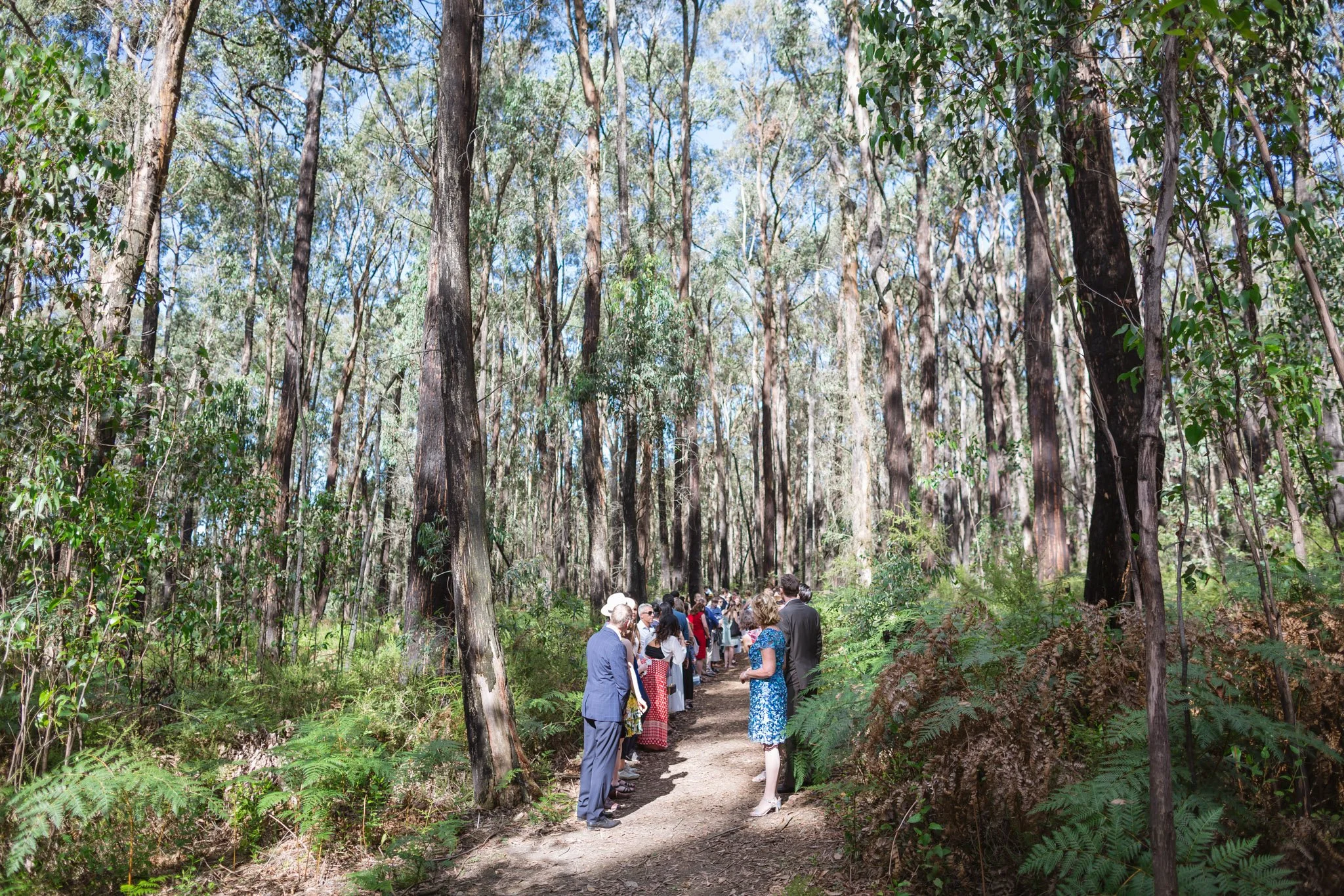 christchurch-wedding-photography-forest-ceremony-57.jpg