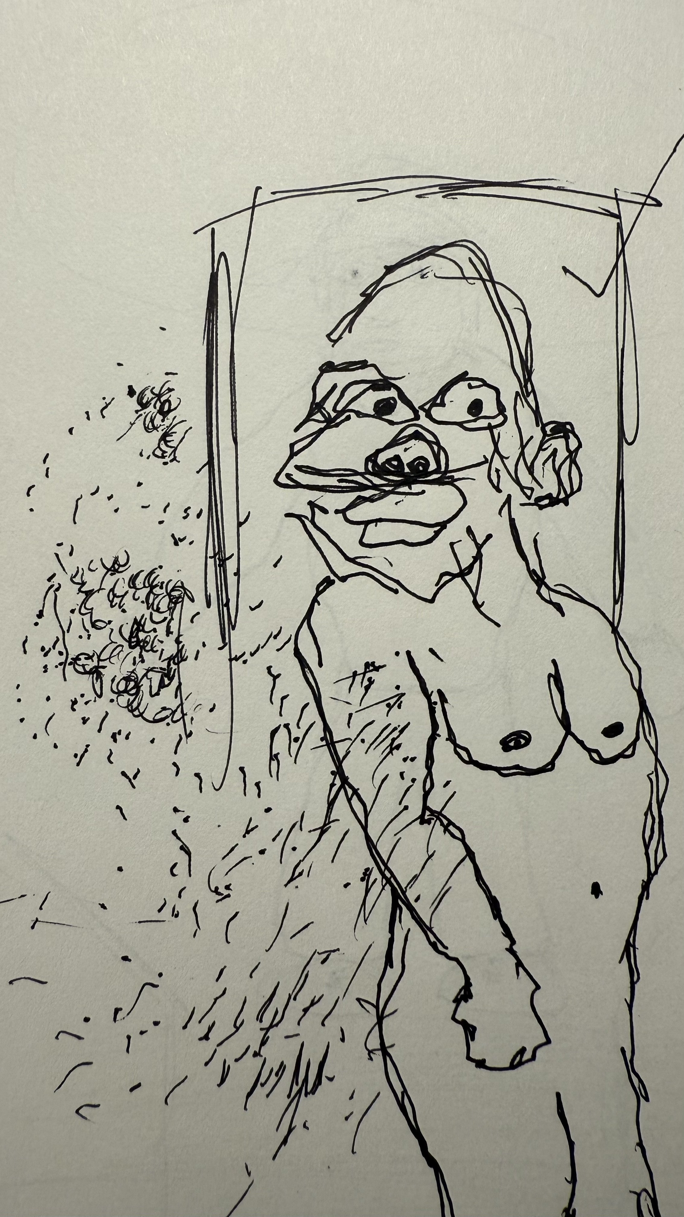 A line drawing of a nude person with a dog-like face, with a background of grass and a bush, and a rectangle around the person and the dog face.
