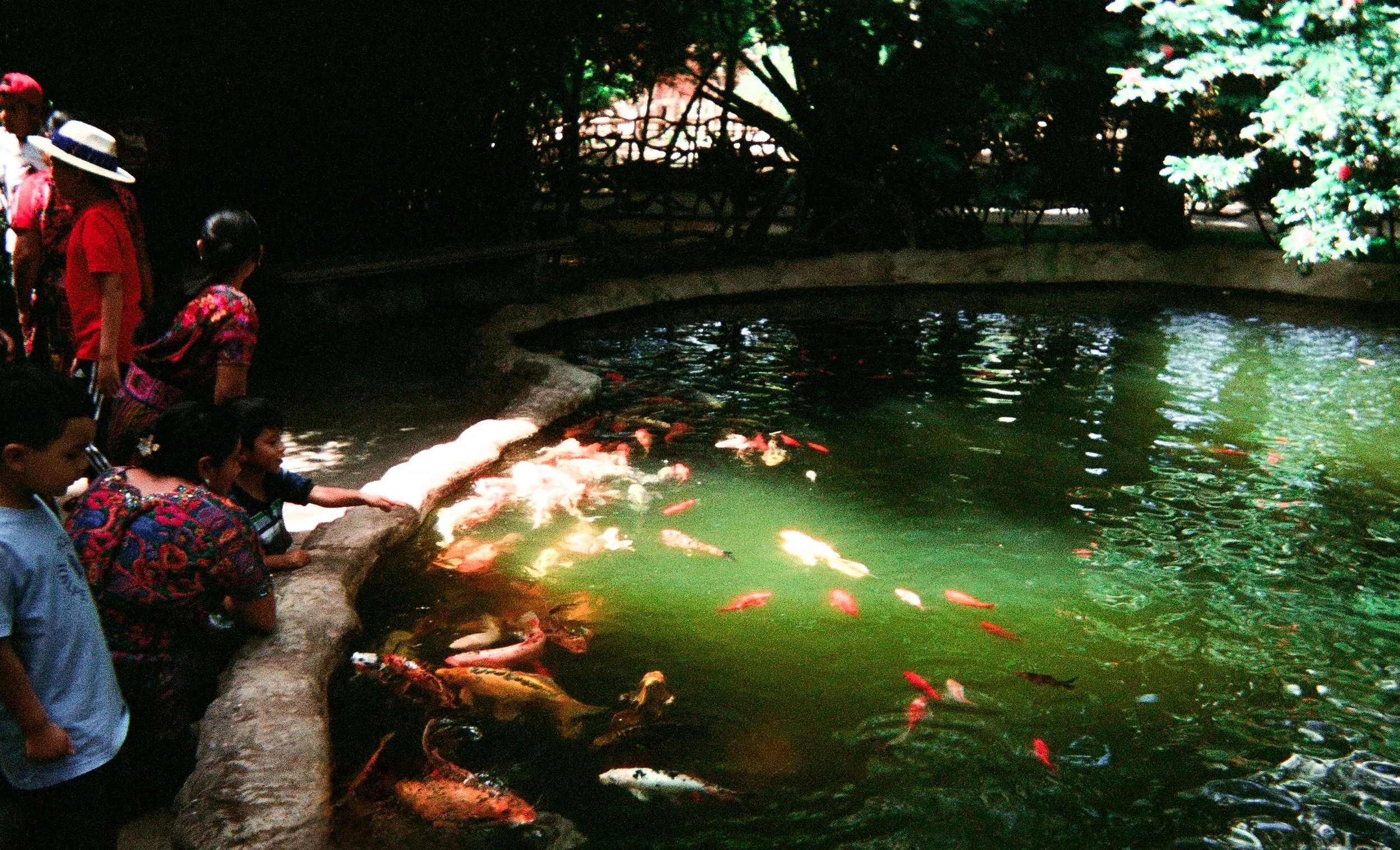 guatefish.jpg