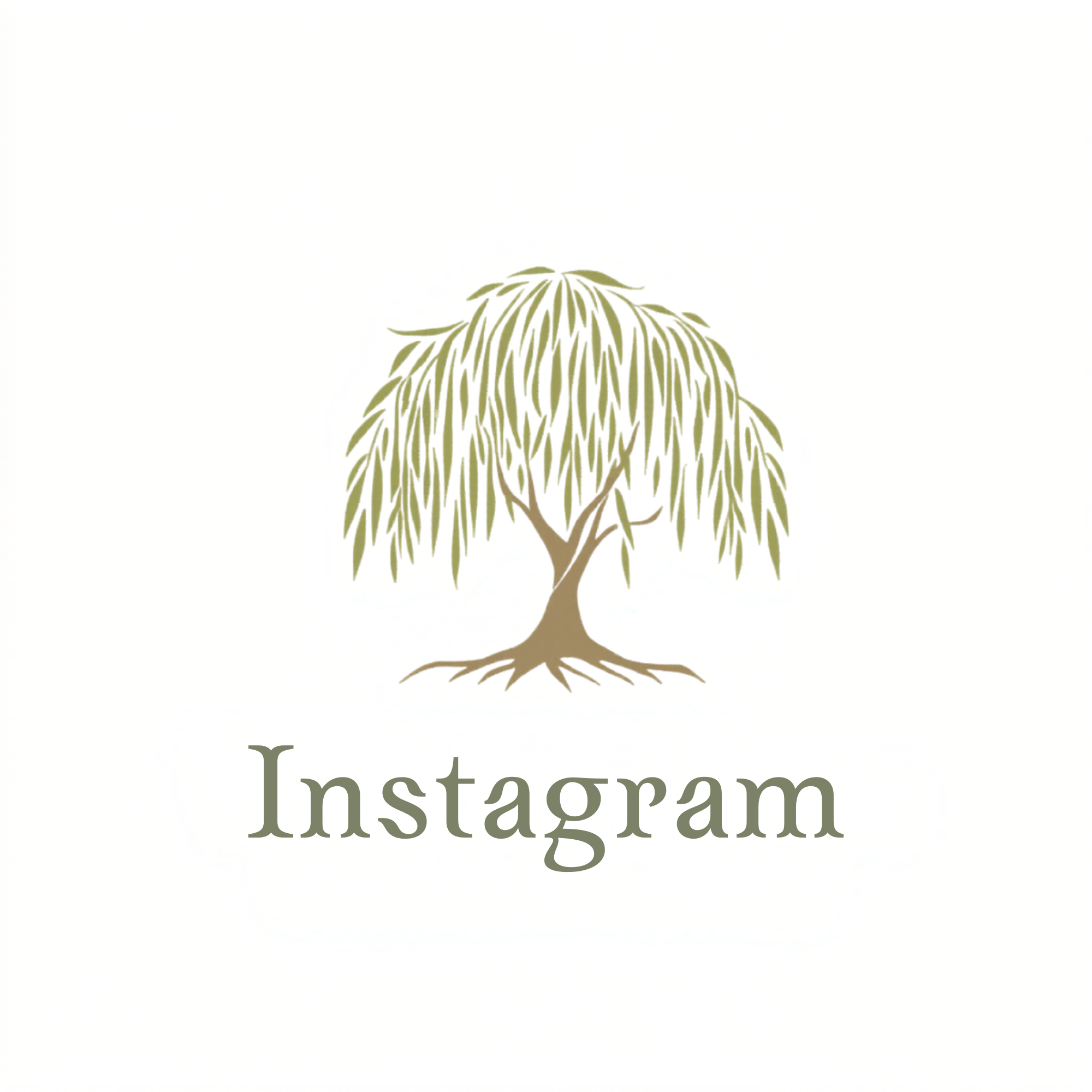 green willow tree instagram massage rhode island