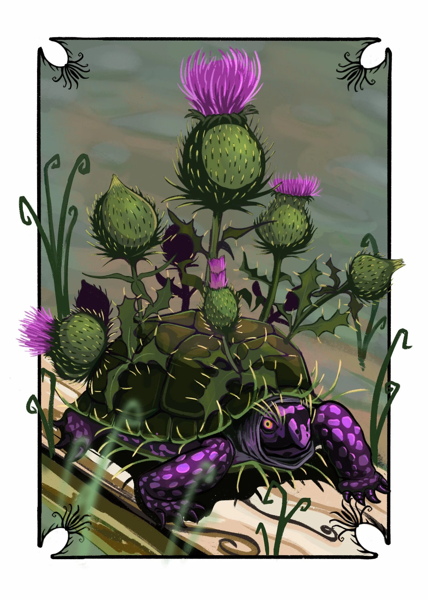 Thistle Turtle 5x7