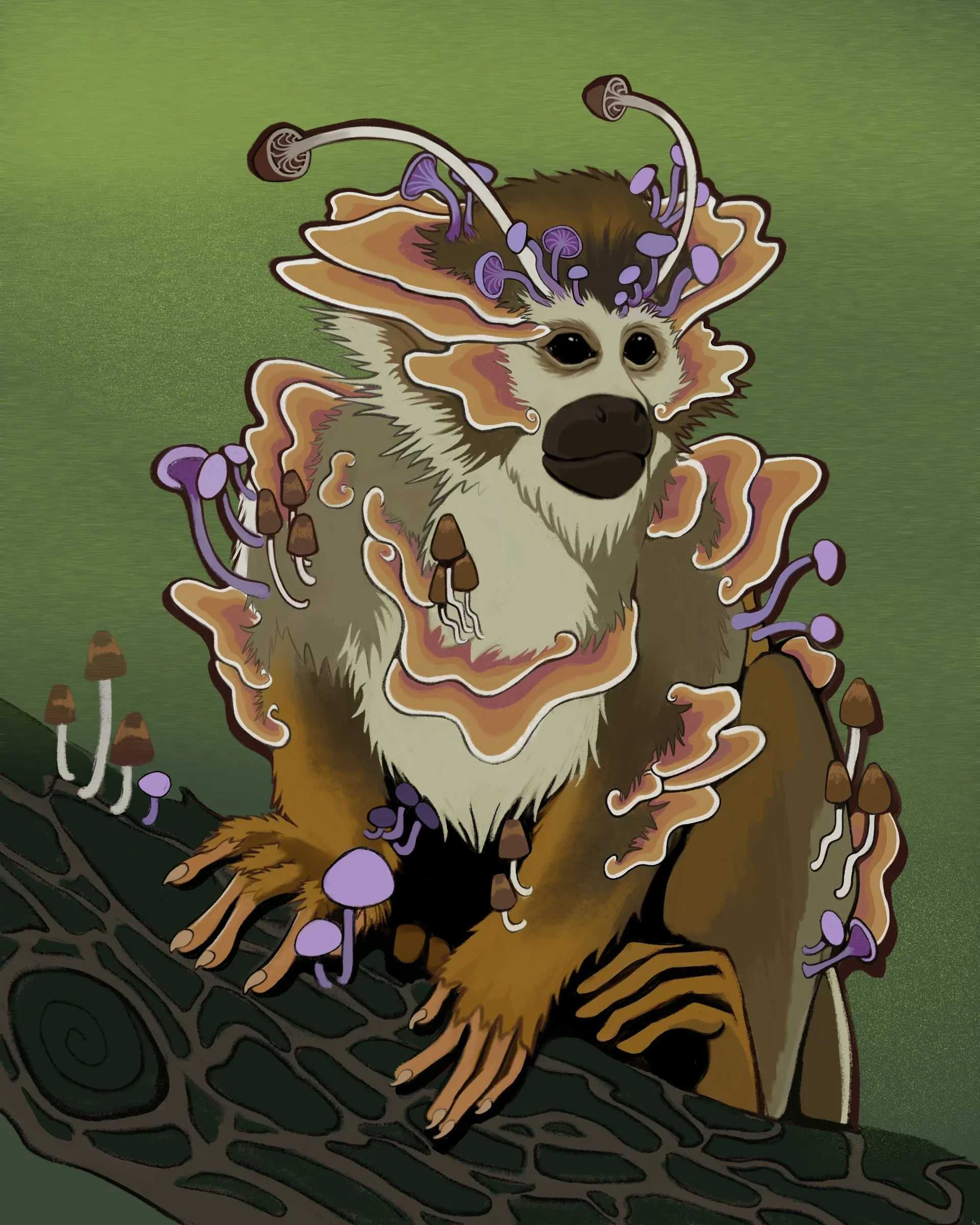Fungal Monkey 8x10