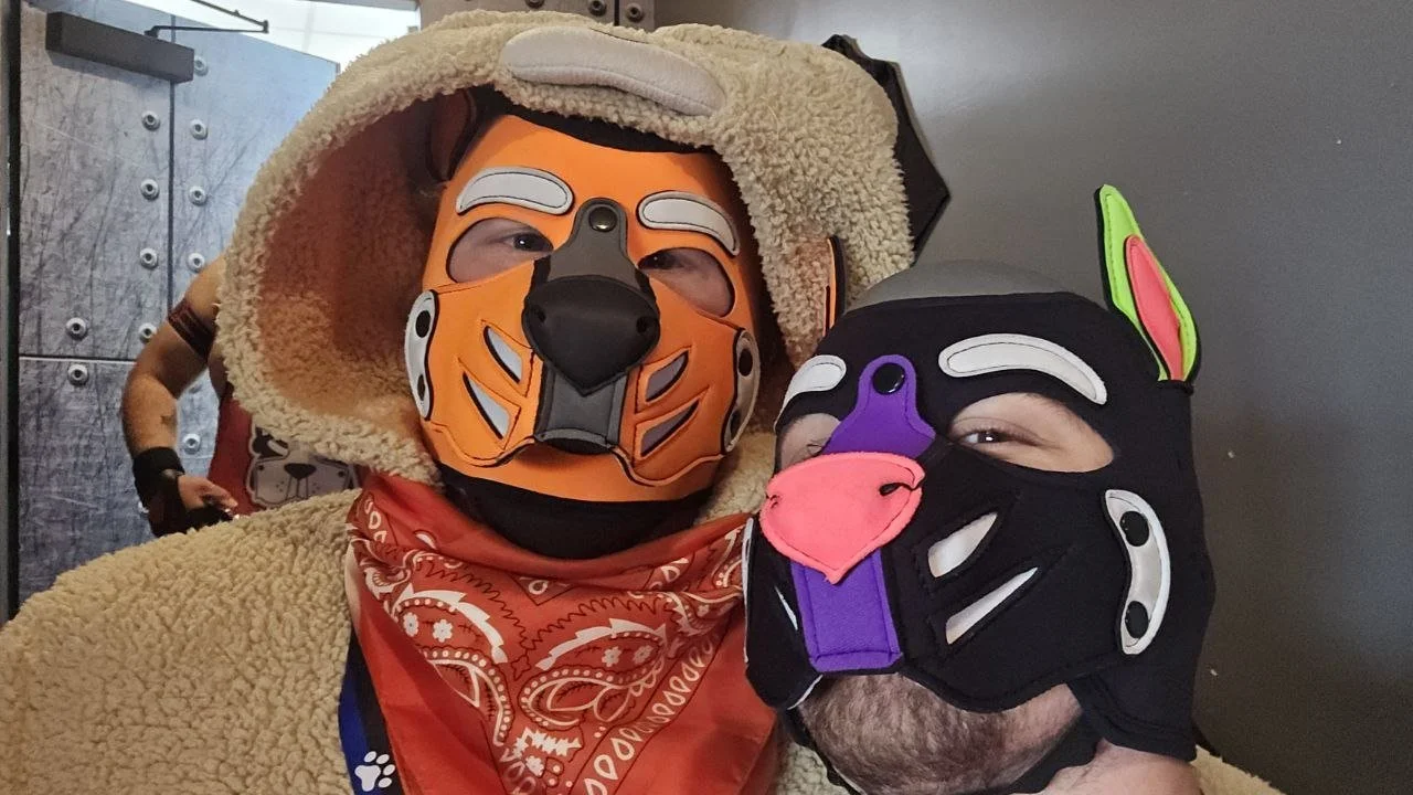 Two people wearing animal-themed masks and costumes, one in a lion costume with a hood and red bandana, and the other in a cat costume with vibrant colored ears.