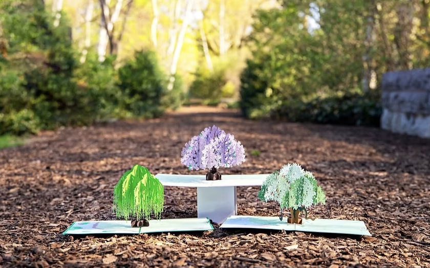 7 simple ways to love the Earth