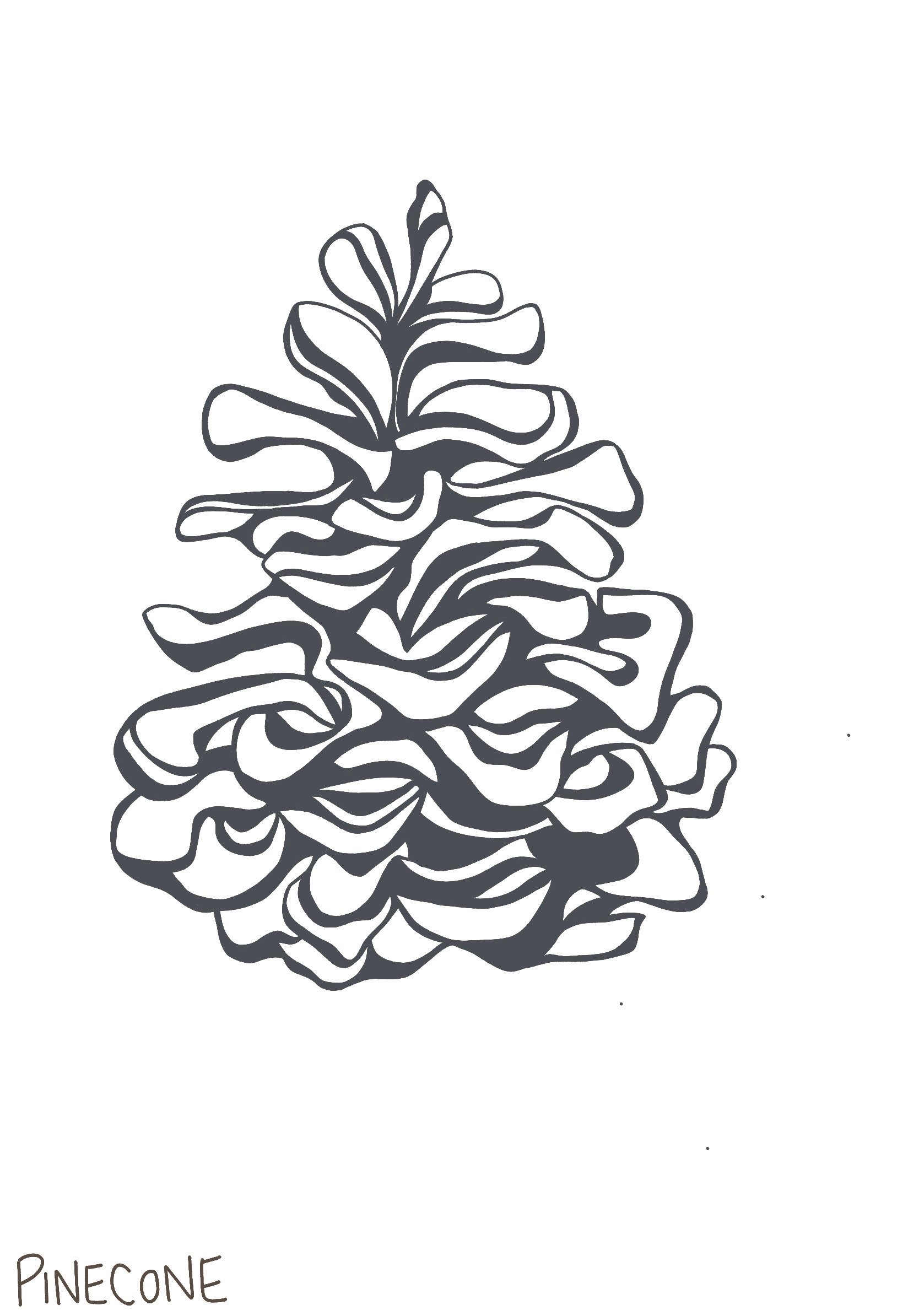 Line drawing of a pine cone with the word 'Pinecone' written below.
