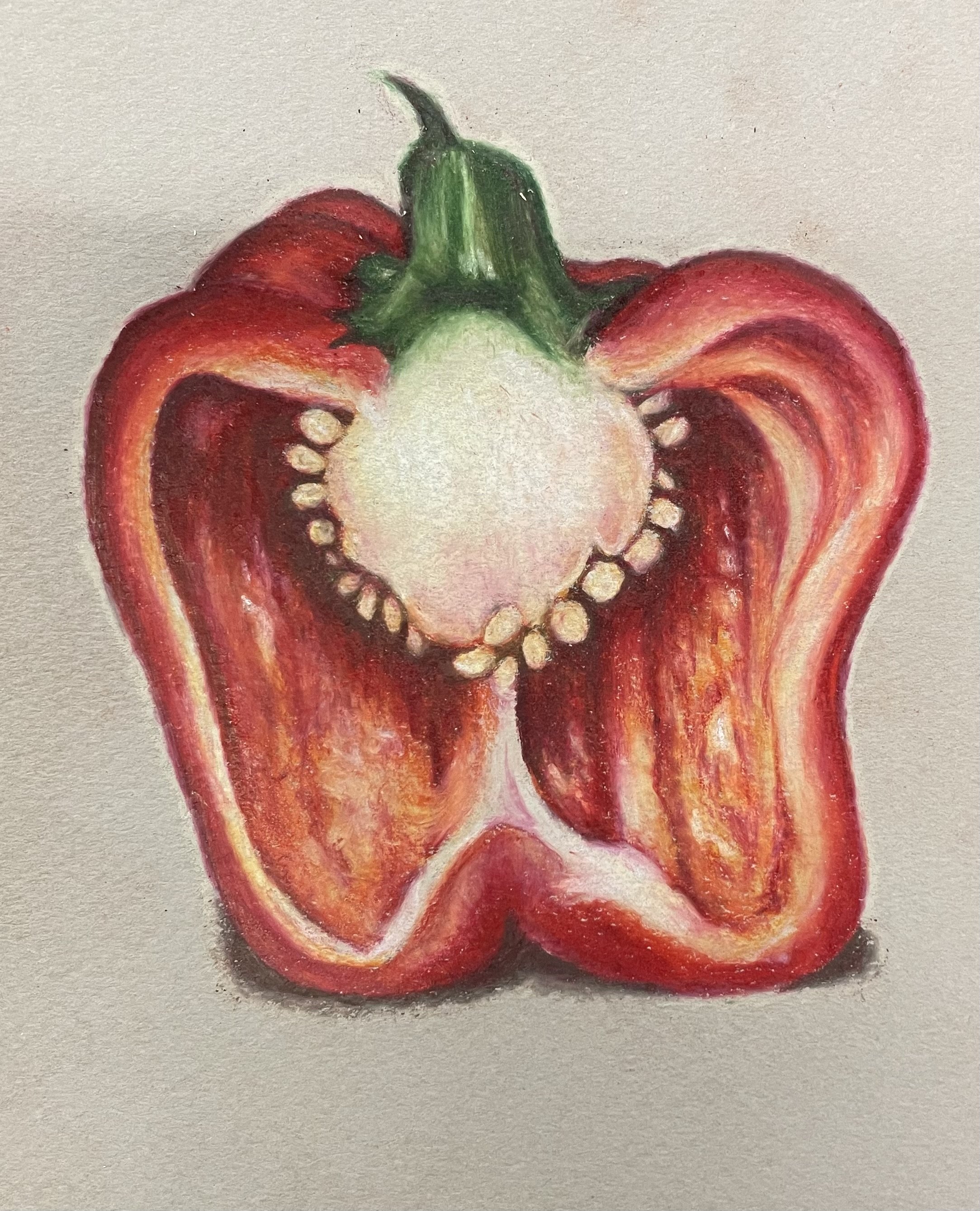 Colorful illustration of a bell pepper cut in half, showing the seeds and inner flesh.
