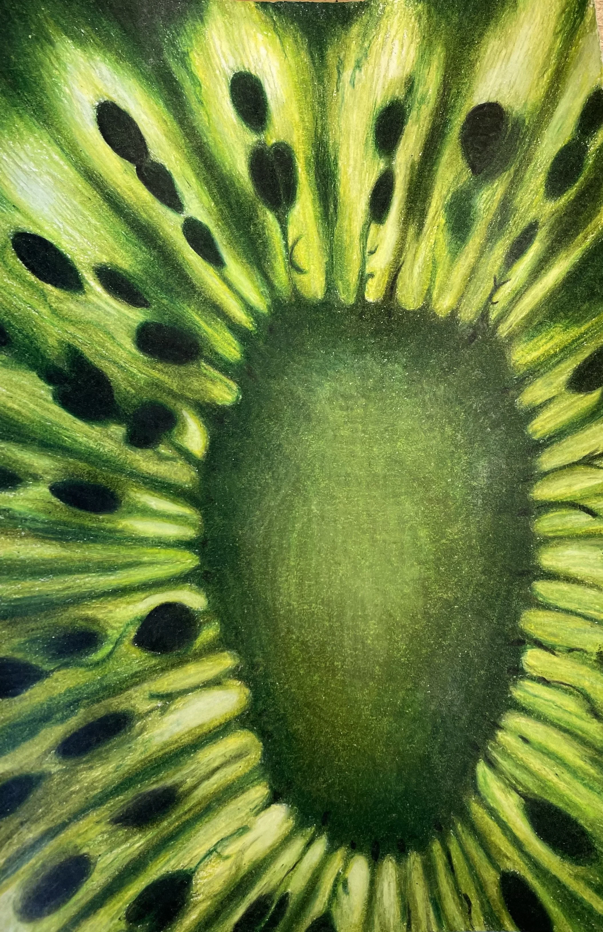 Close-up of an illustration of a kiwi fruit, showing green flesh with black seeds arranged in a radial pattern around the central white core.