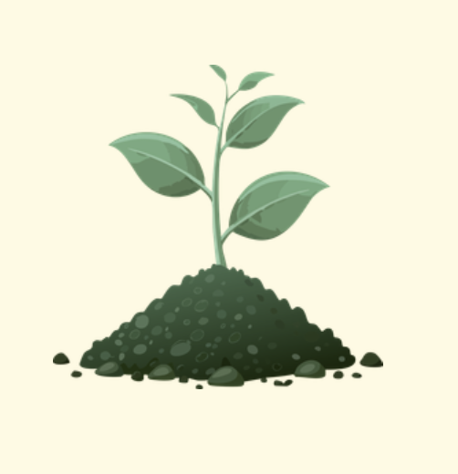 Soil Health