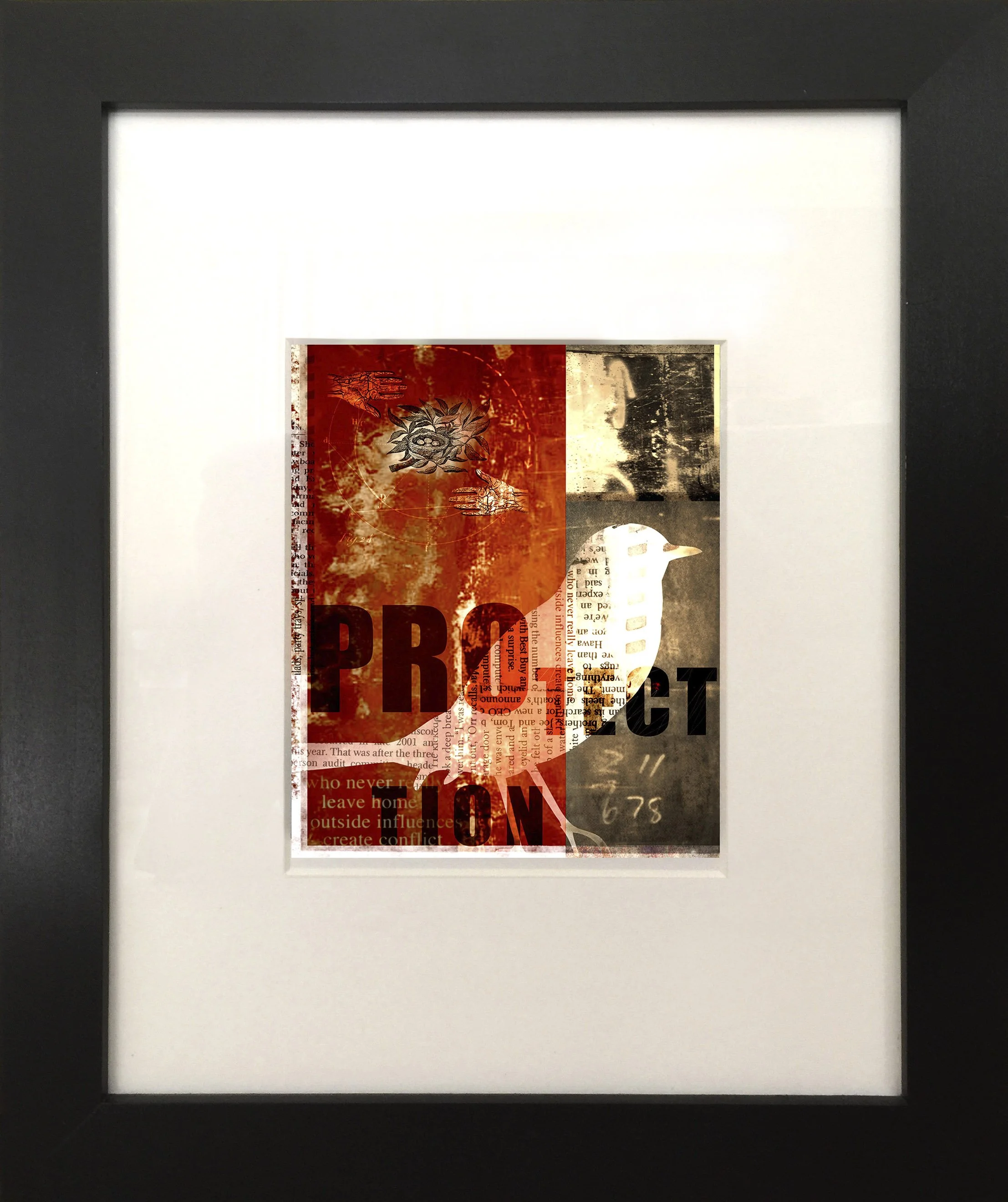 Protection_FRAMED.jpg
