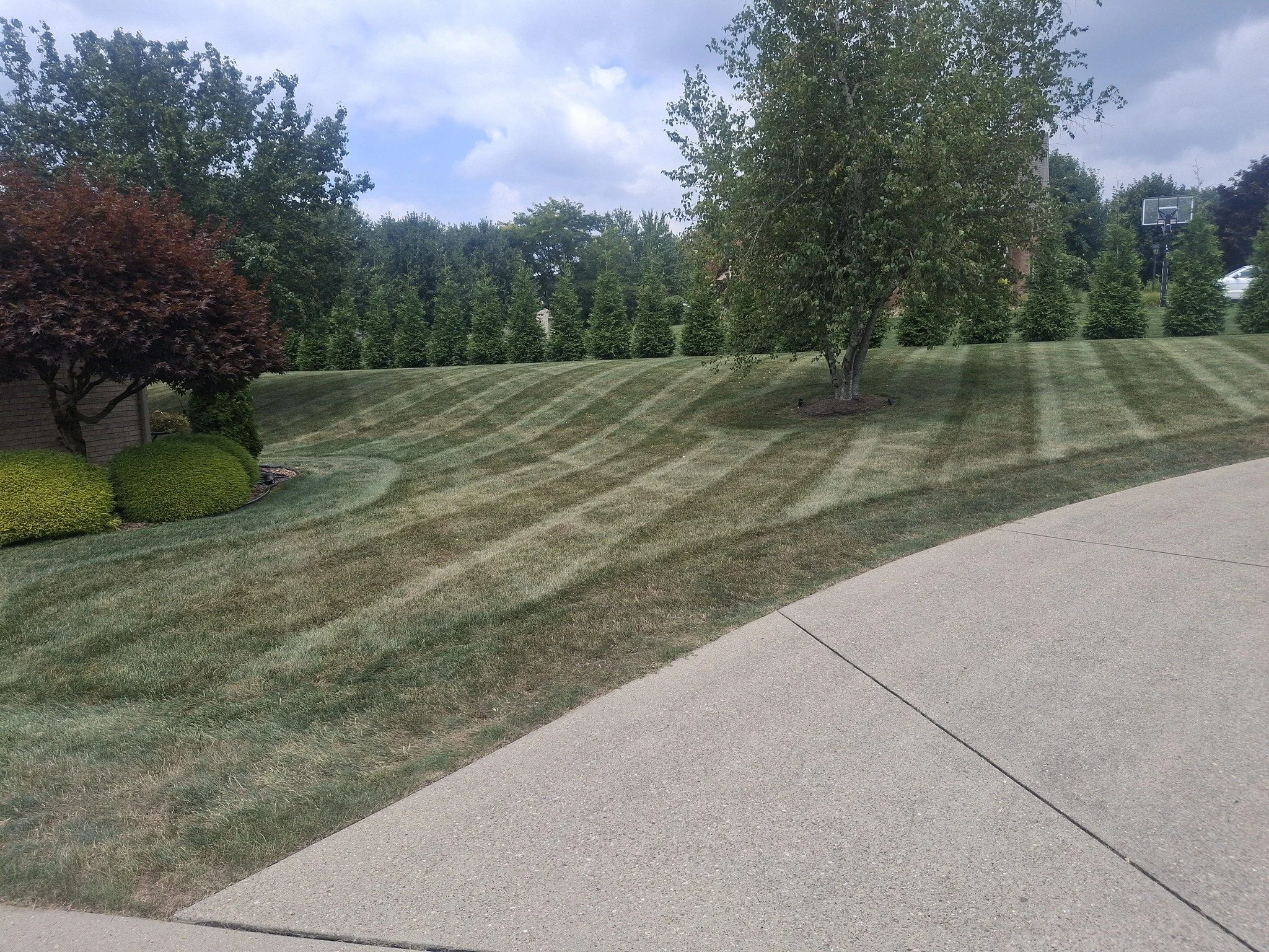 A well-maintained backyard with a lawn, two trees, and a basketball hoop in the background. The grass has visible mowing lines, and the sky is partly cloudy.