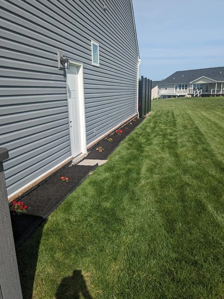 Side yard of a house with grey vinyl siding, a white door, small flower bed with red flowers, and a well-maintained lawn.