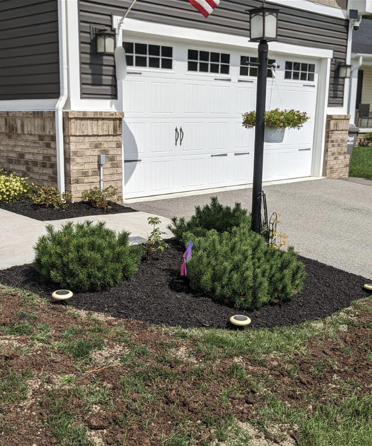 Front yard garden bed with green shrubs, mulch, a hanging flower basket, a black lamppost, and a concrete sidewalk near a white garage door.