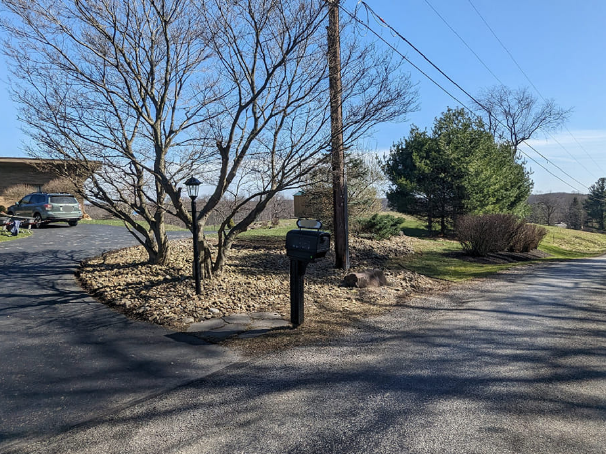 A residential driveway with a tree, a black mailbox, a streetlamp, and an electric pole, with parked cars and grass in the background.