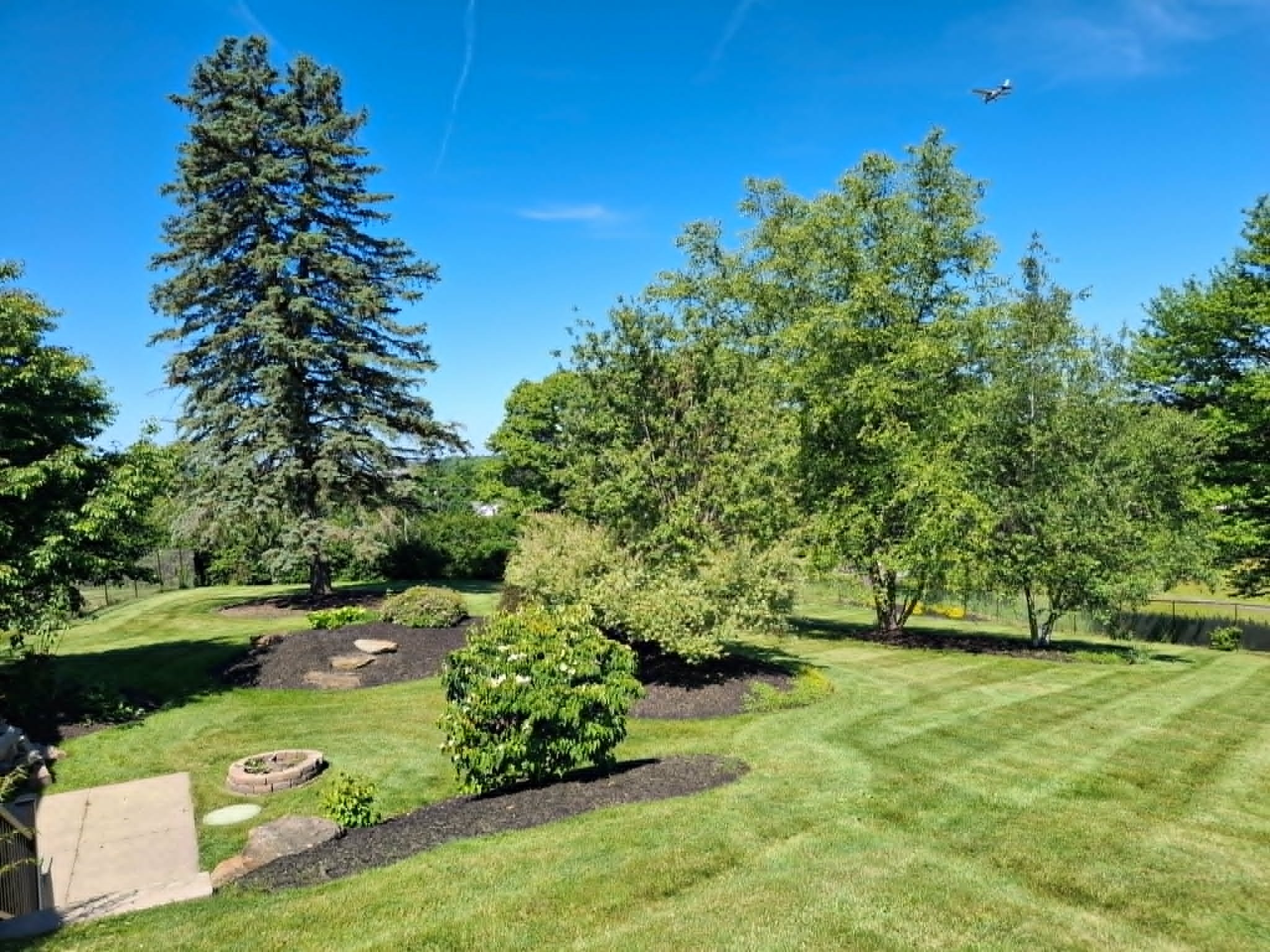 A lush green park with various trees, a flower bed, and a clear blue sky with a plane flying overhead.